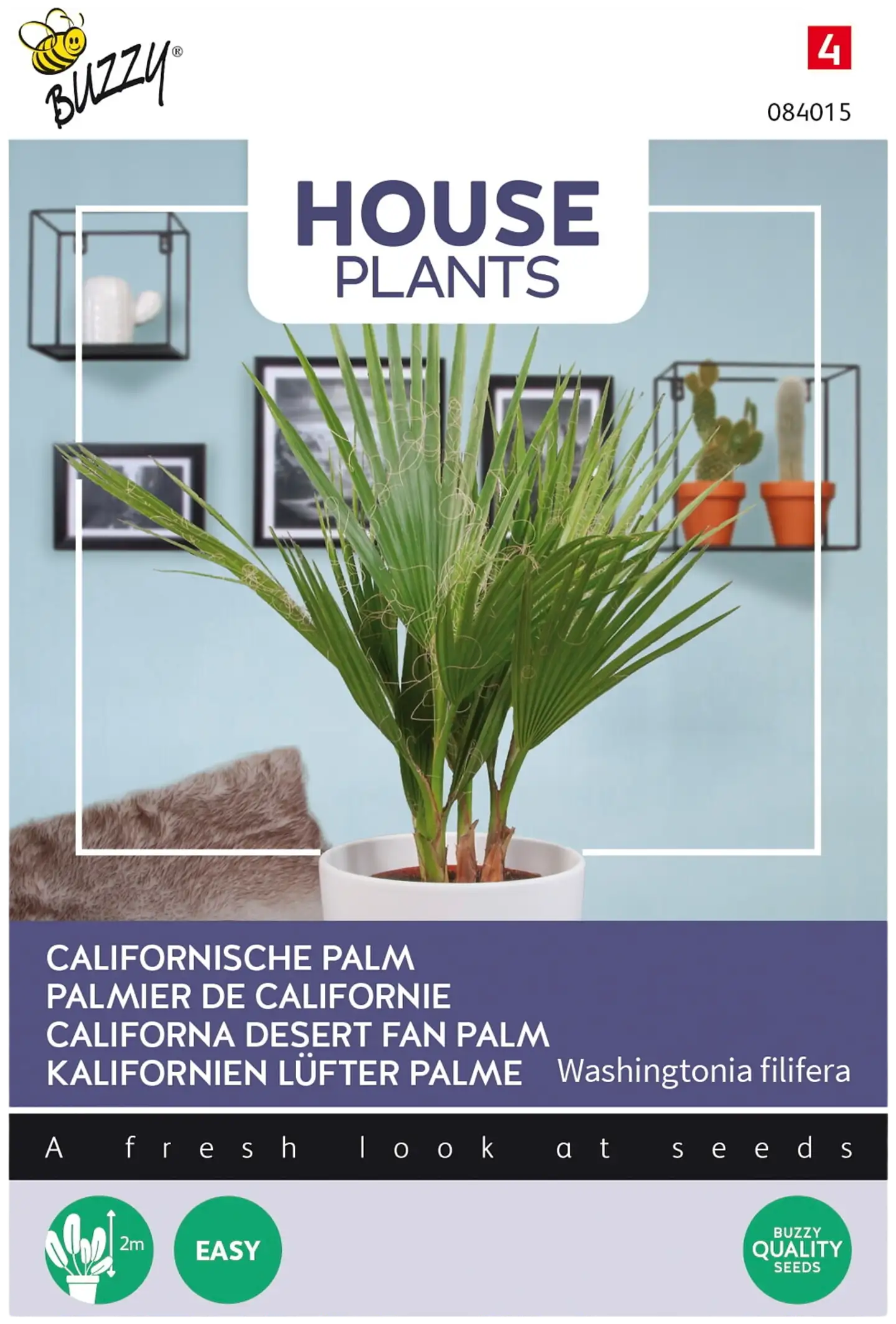 Buzzy® House Plants Washingtonia filifera, presidentinpalmu