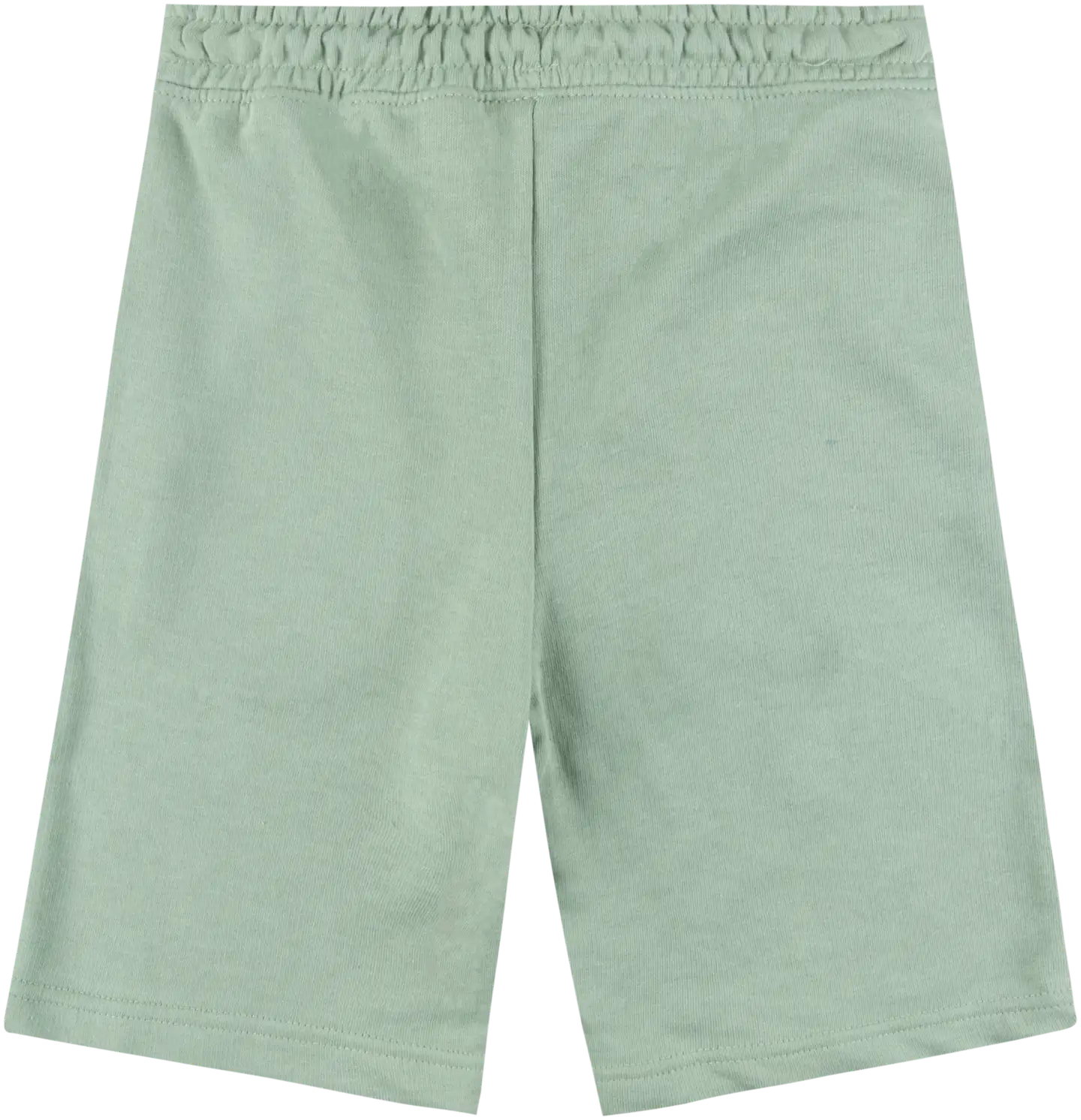 House nuorten collegeshortsit 23PH172522 - Iceberg Green - 3