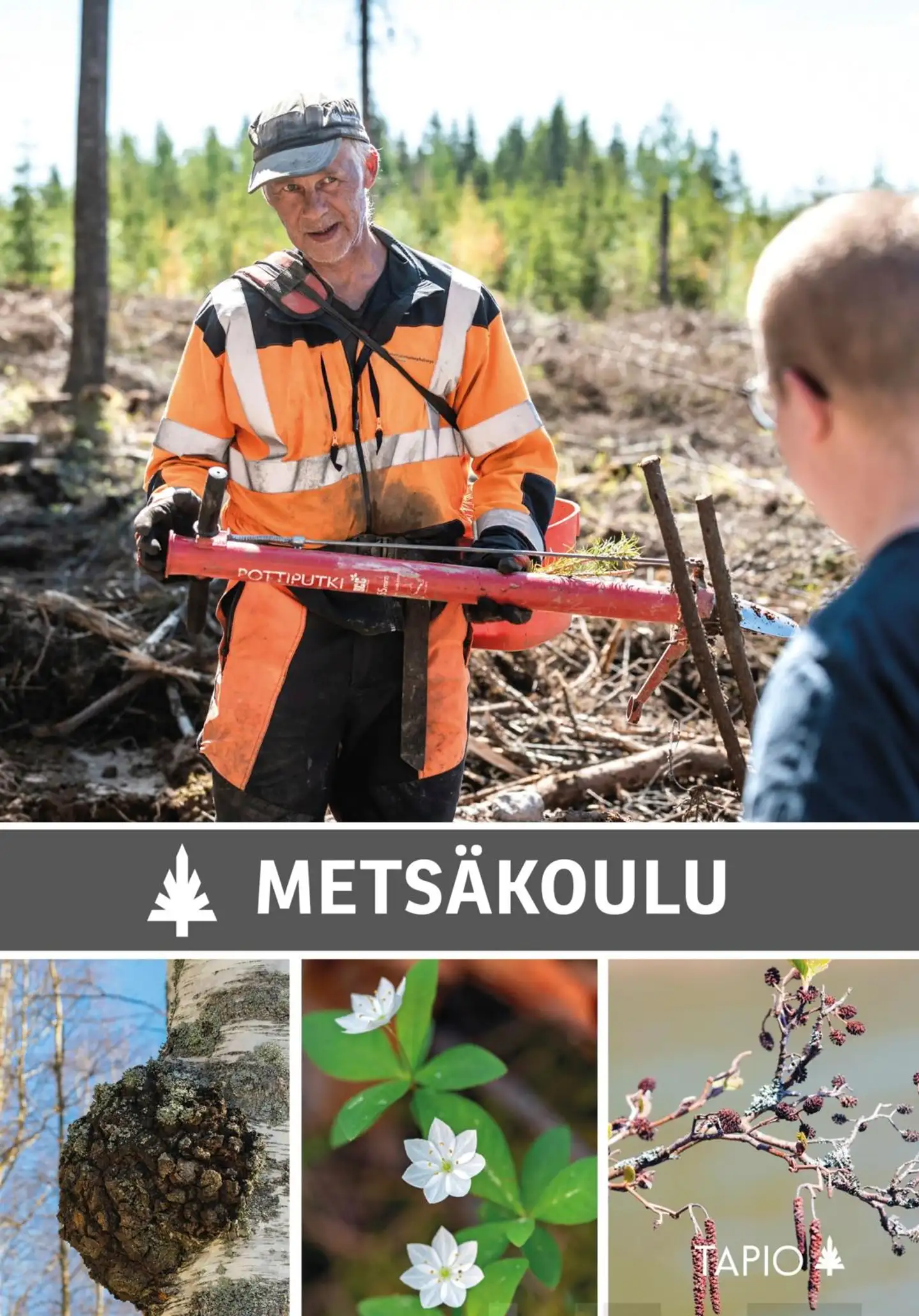 Metsäkoulu