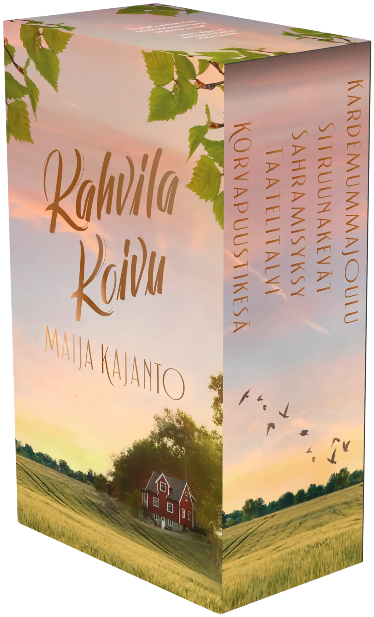 Kajanto, Kahvila Koivu-pokkariboksi