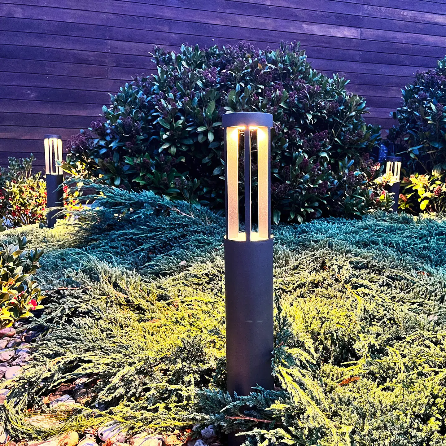 LightsOn pollari Helix - 3