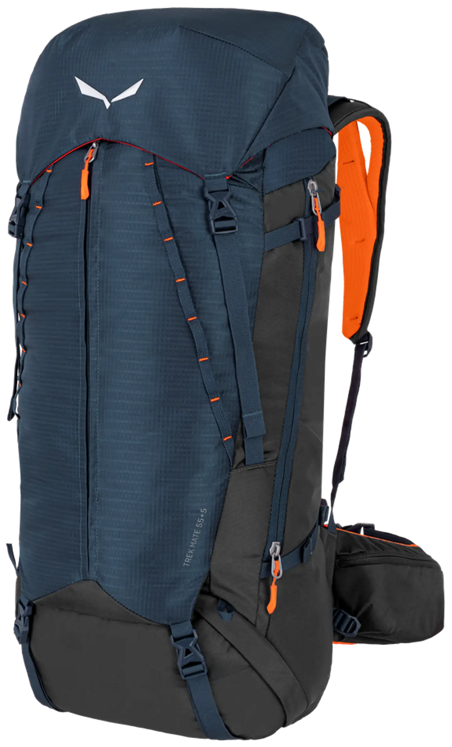 Salewa Rinkka Trek Mate 55+5 - 1