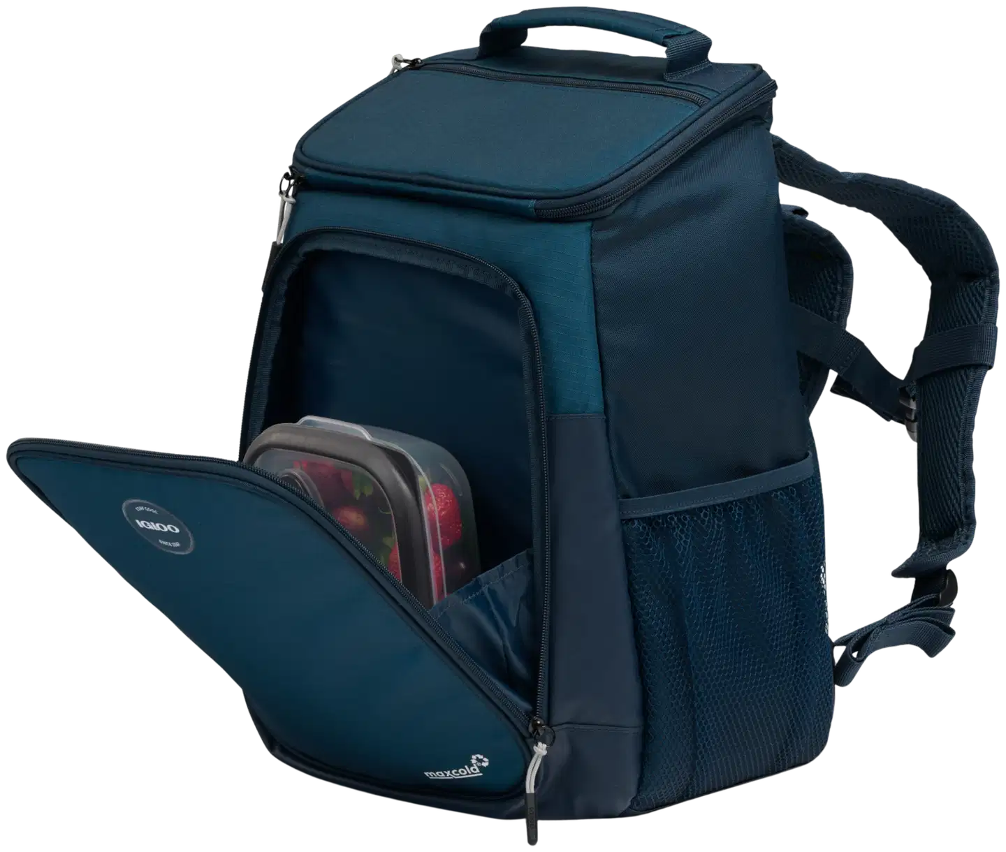 Igloo Latitude Backpack -kylmälaukkureppu sininen - 8