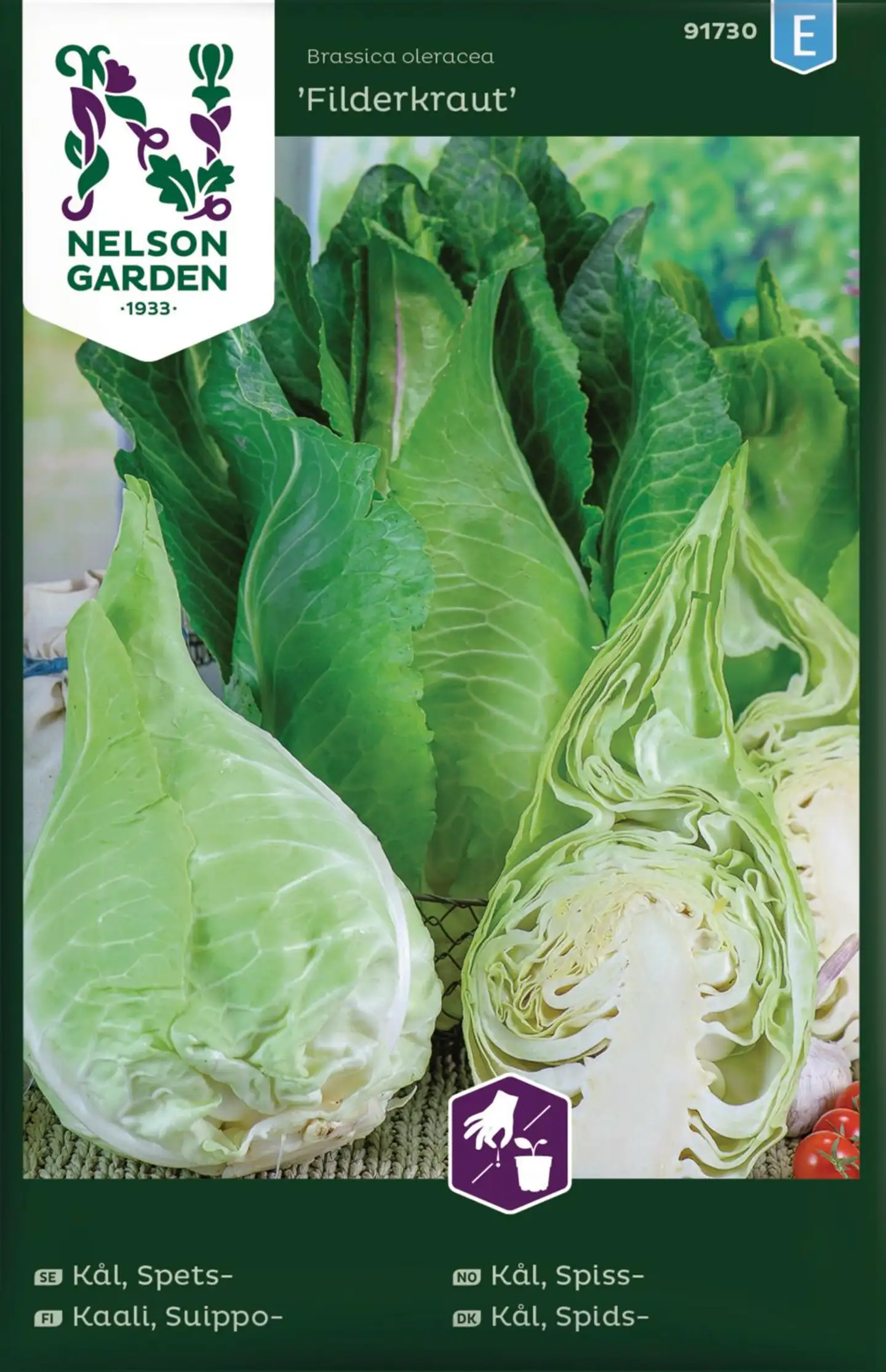 Nelson Garden Kaali, Suippo-, Filderkraut