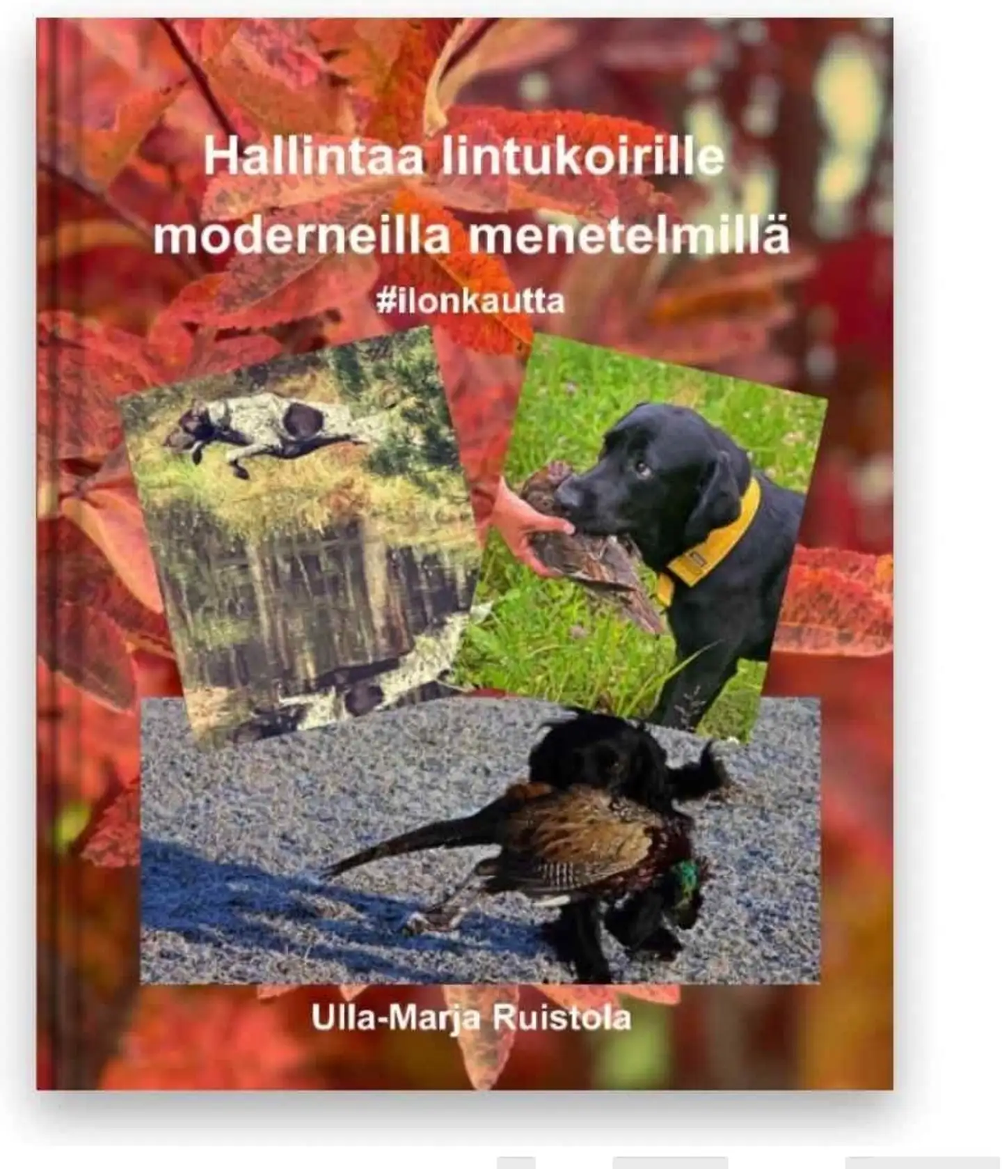 Ruistola, Hallintaa lintukoirille moderneilla menetelmillä - #ilonkautta