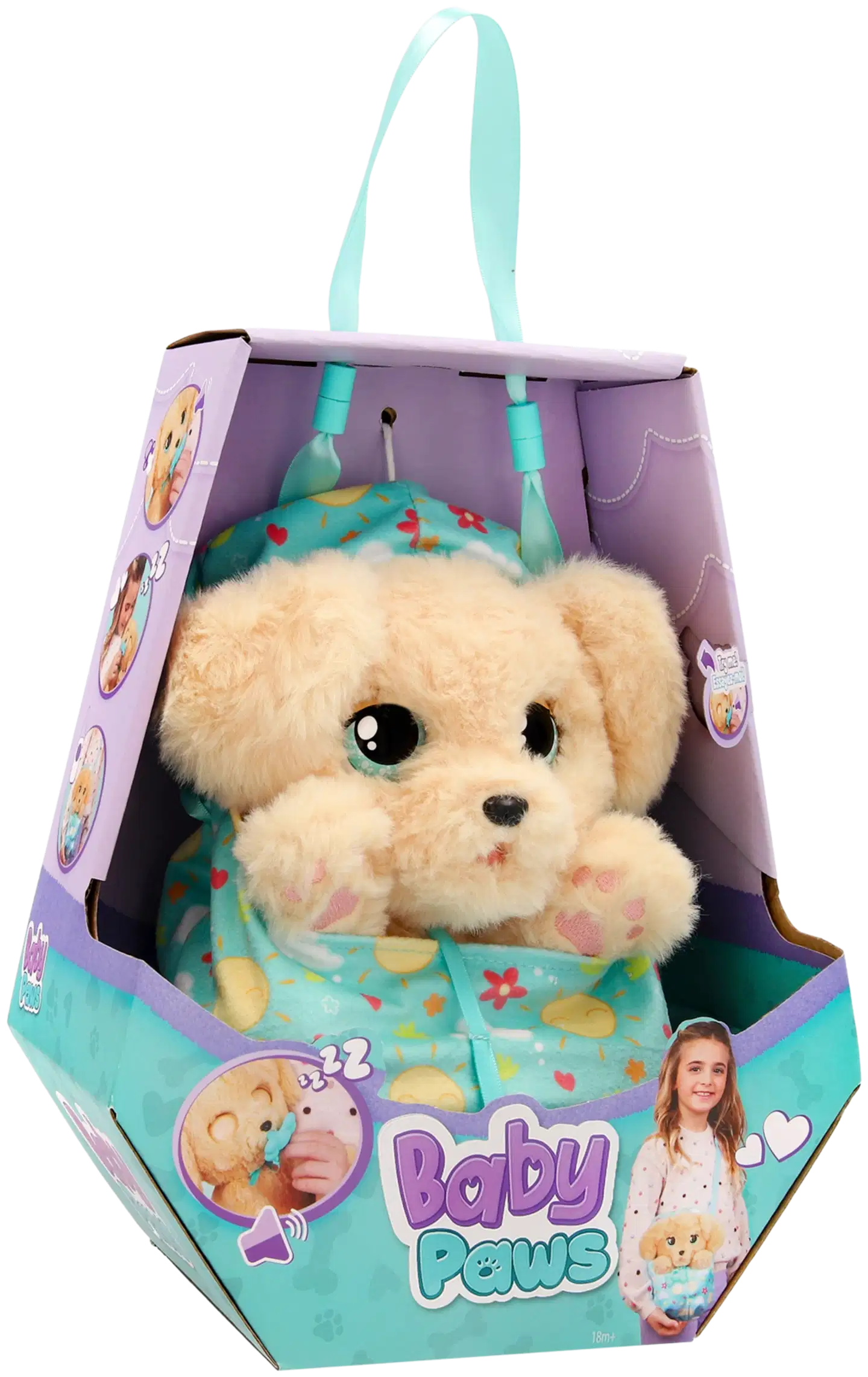 Baby Paws Labradori - 2