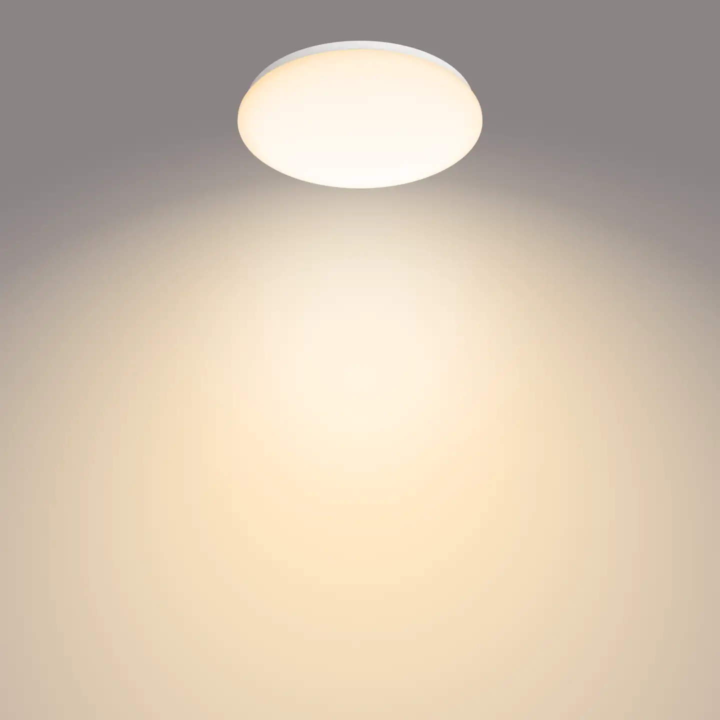 Philips kattovalaisin Moire 17W, 2700K, 1700lm - 7