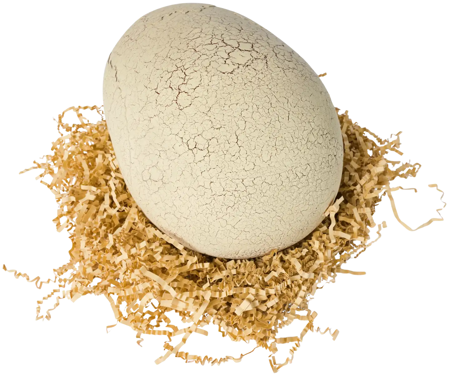 Primal Hatch interaktiivinen kuoriutuva dinosaurus - 3