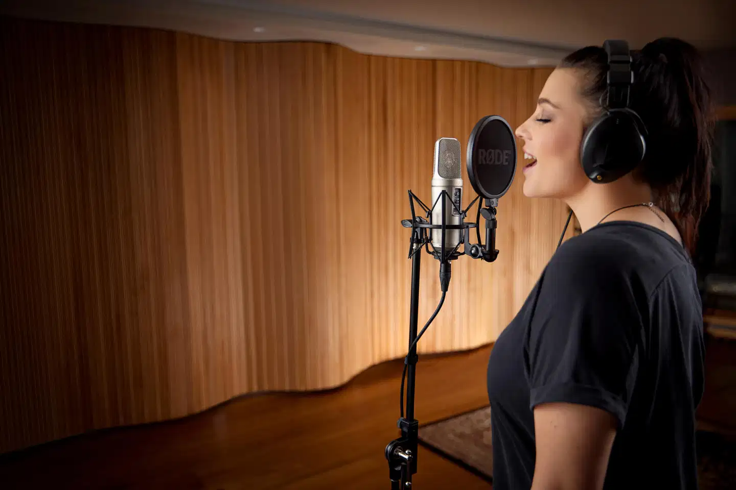 Rode studiomikrofoni NT2A - 2