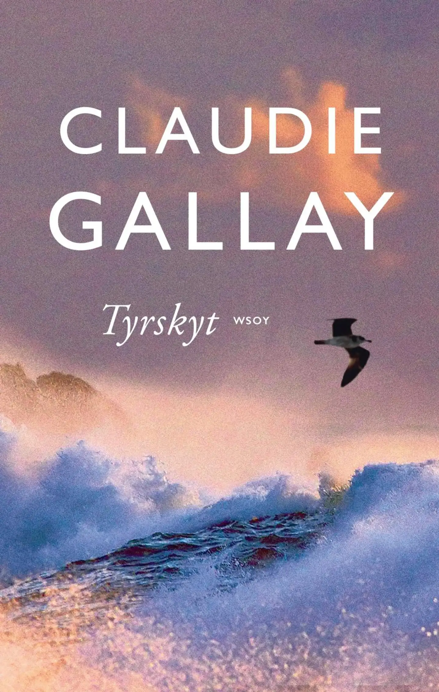 Gallay, Tyrskyt