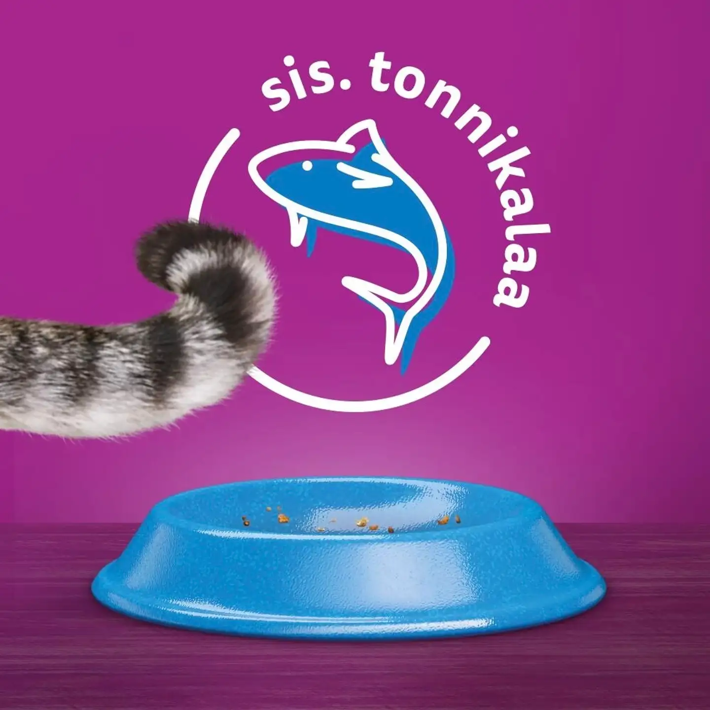 Whiskas 1+ Tonnikalaa 800g - 2