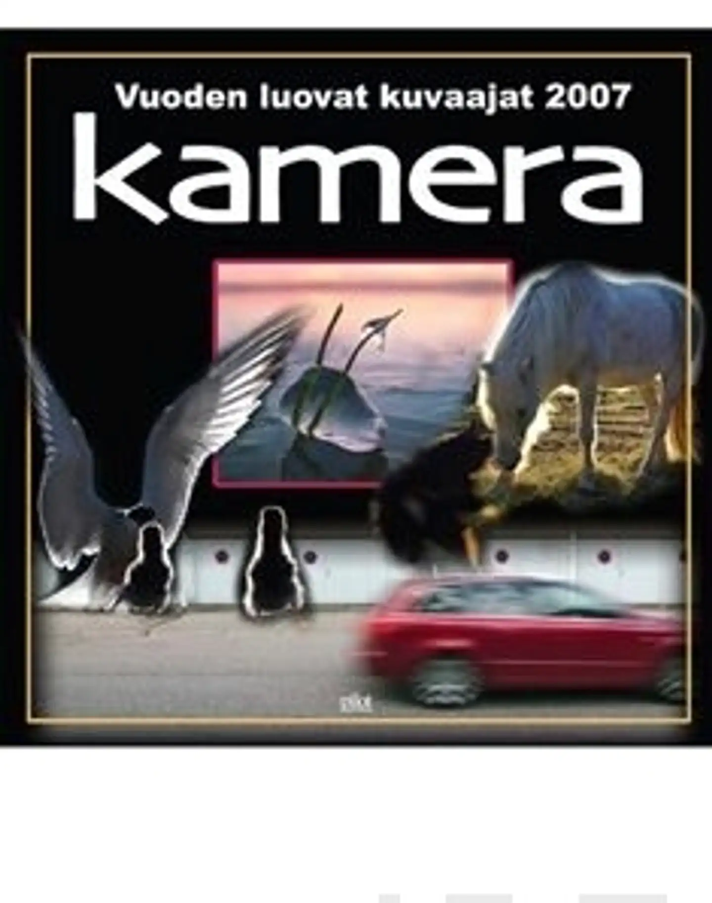 Vuoden luovat kuvaajat 2007 - kamera