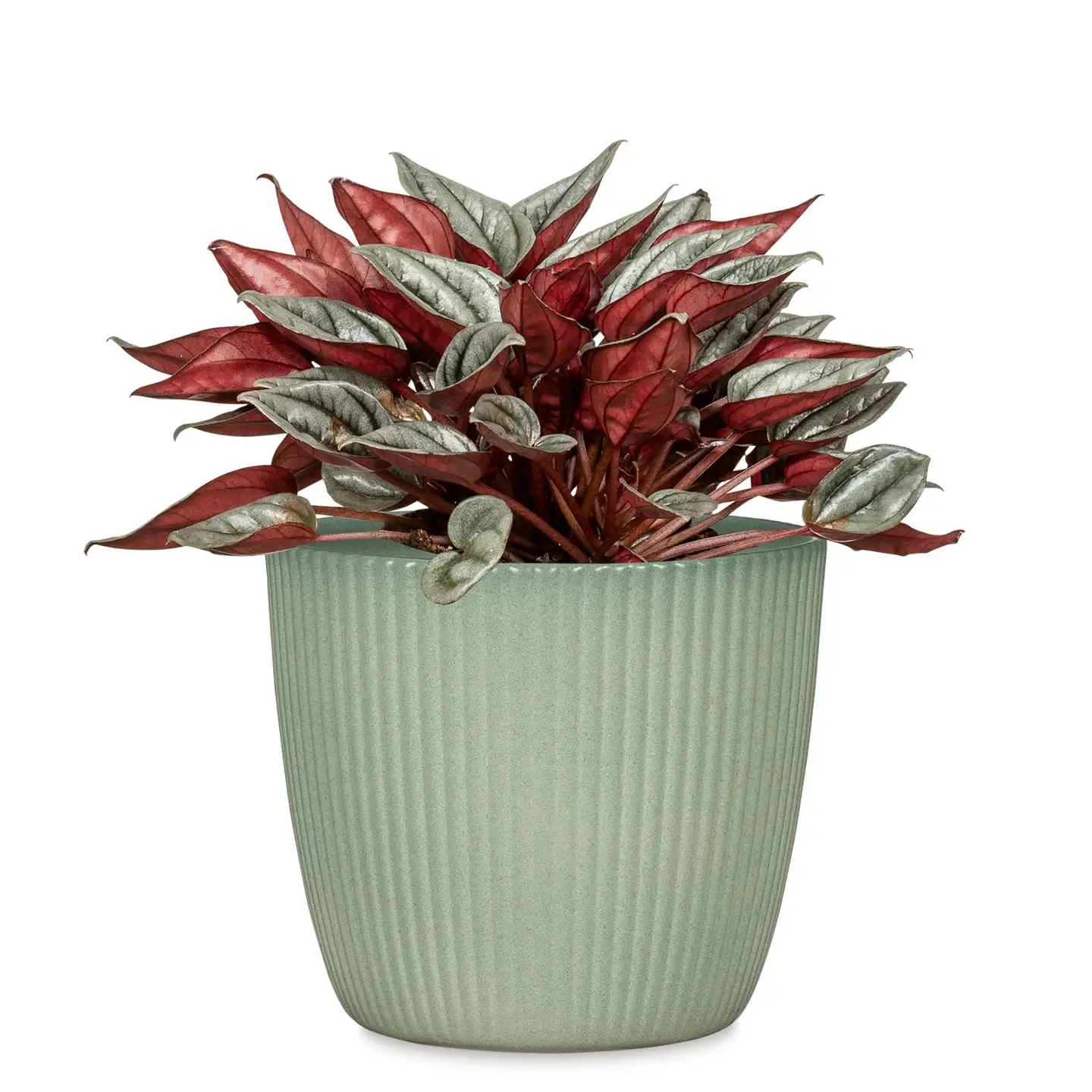 Scheurich Ruukku 842/16 jaden vihreä - 2