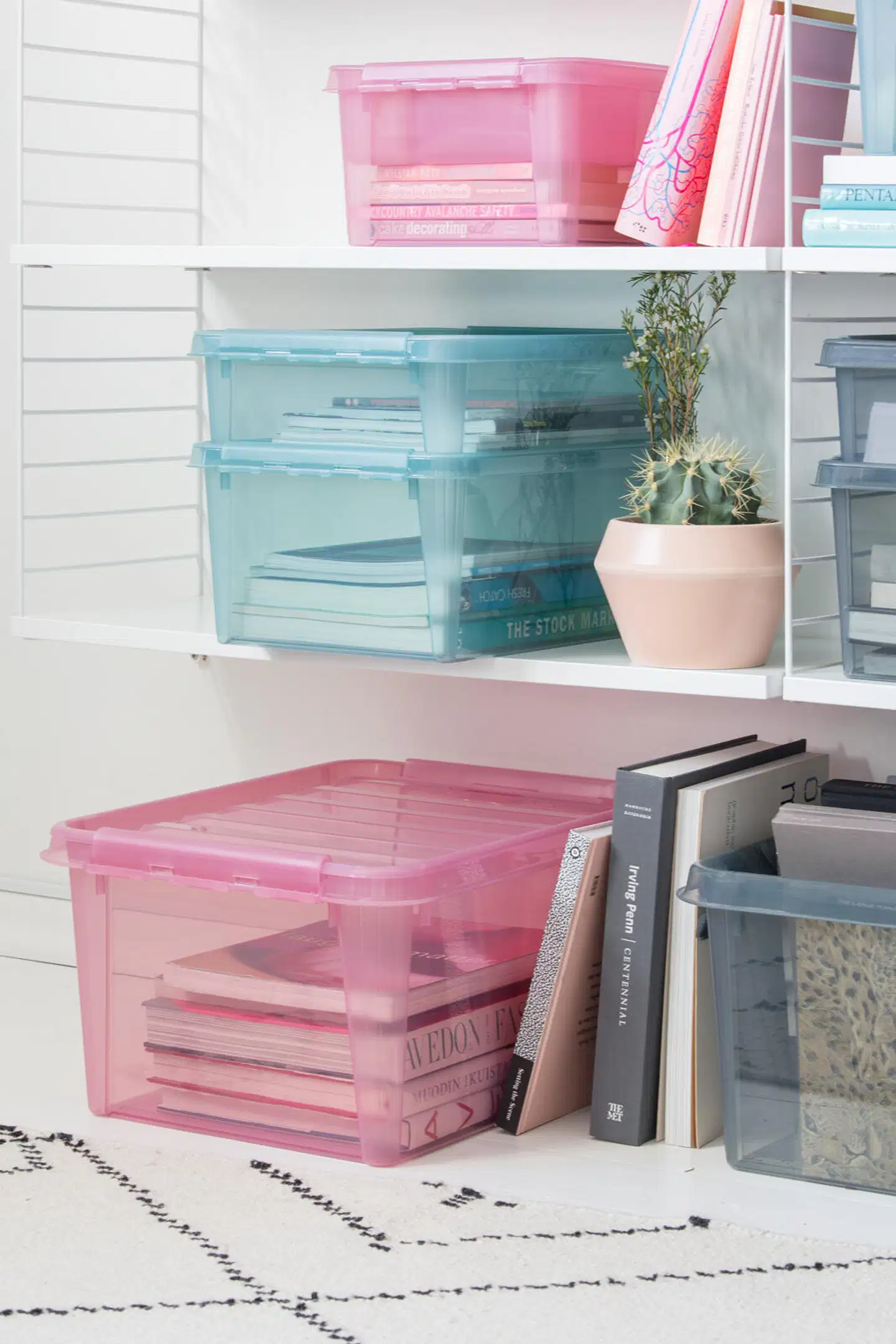 SmartStore™ Colour 31 L säilytyslaatikko kannella - 3