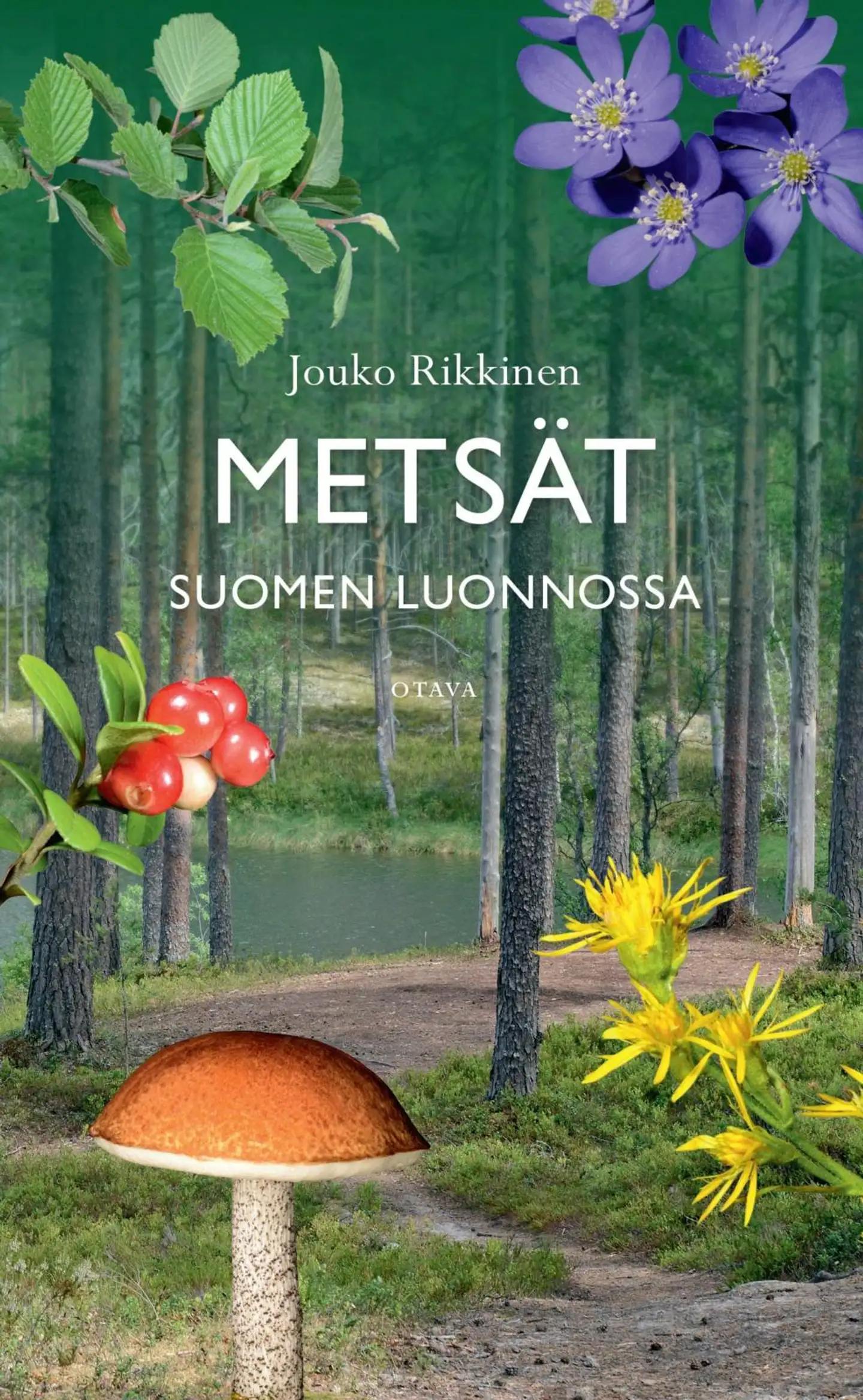 Rikkinen, Metsät Suomen luonnossa