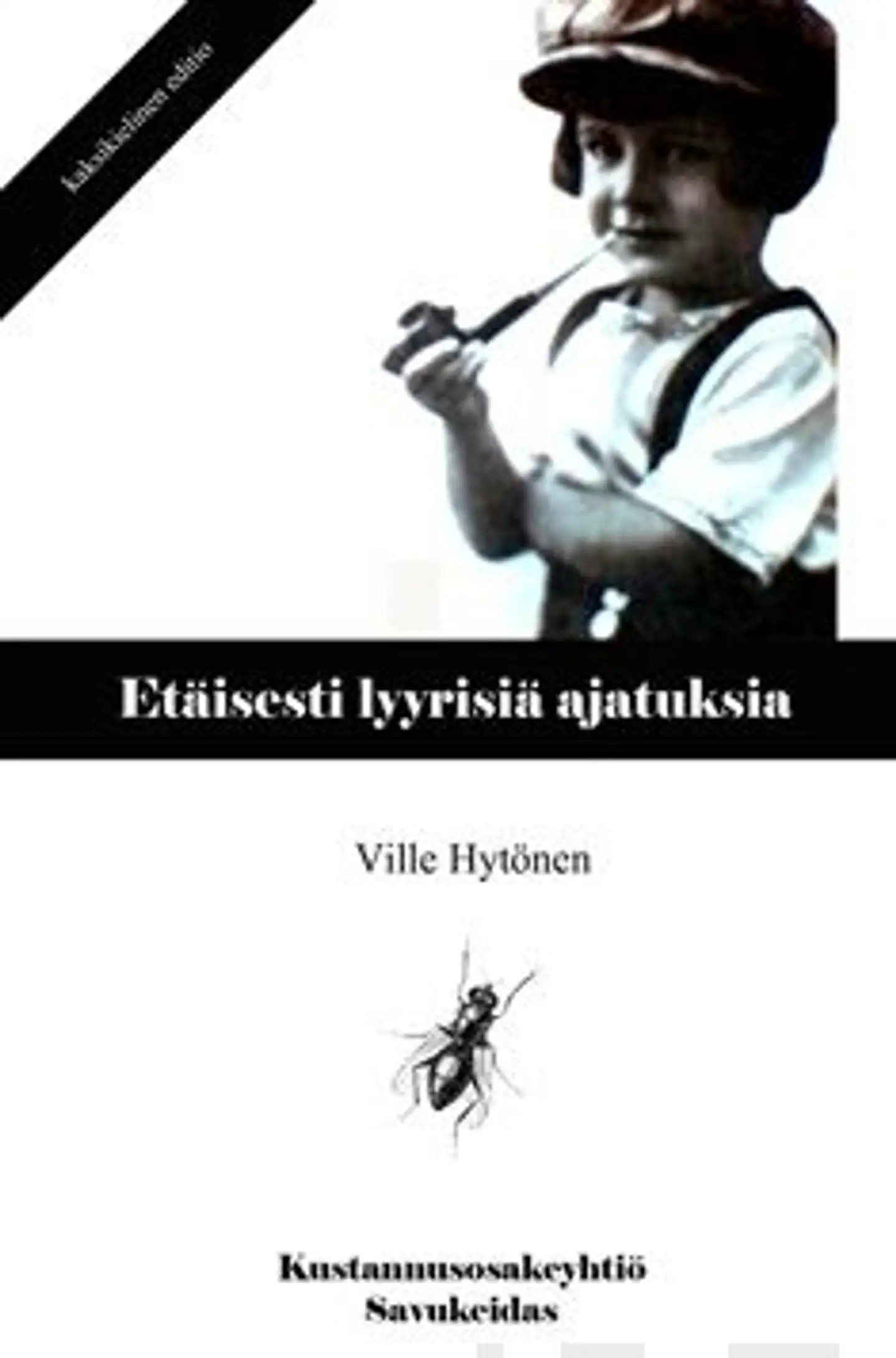 Hytönen, Etäisesti lyyrisiä ajatuksia