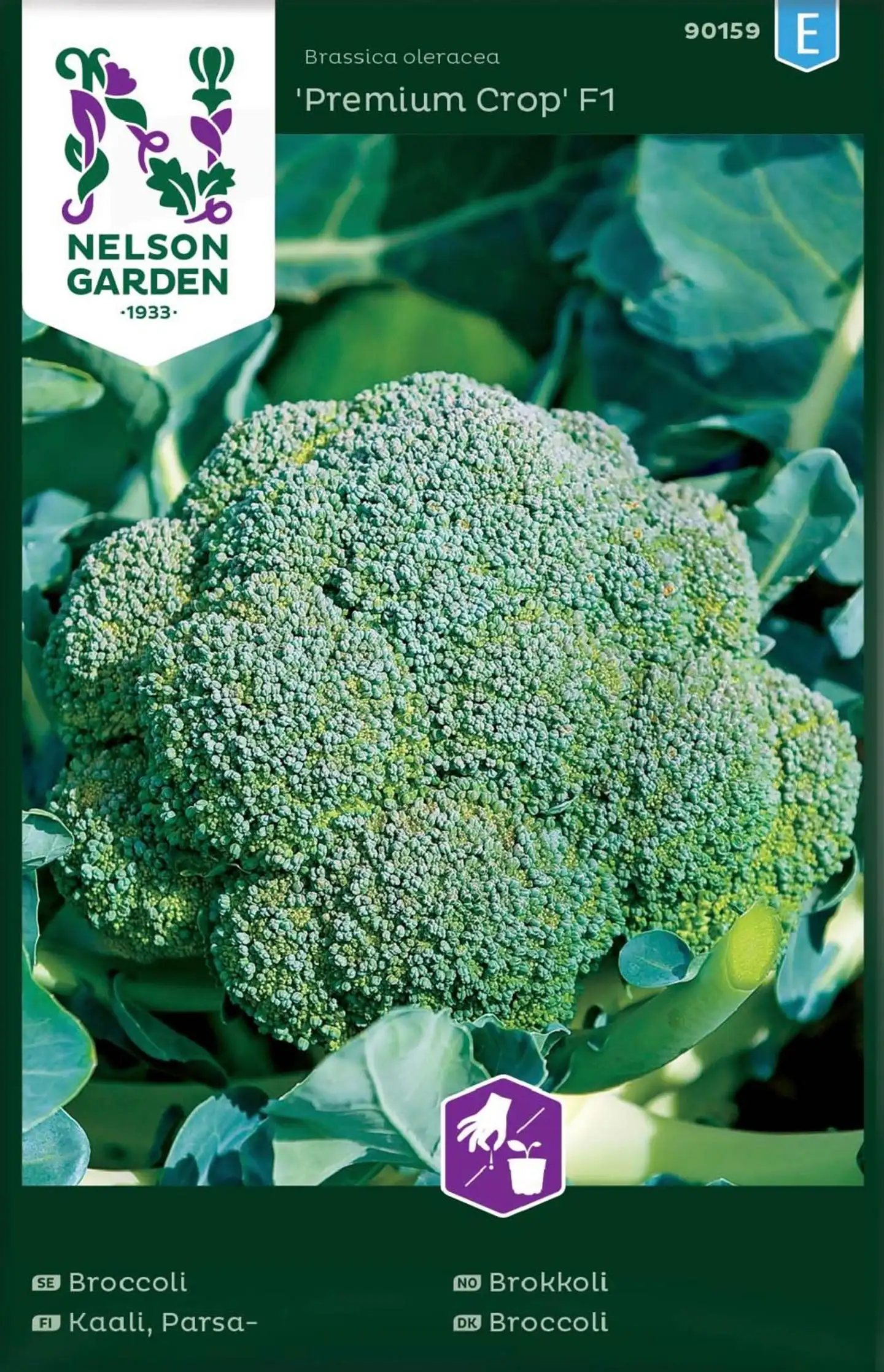 Nelson Garden Siemen Kaali, Parsa-, Premium Crop F1