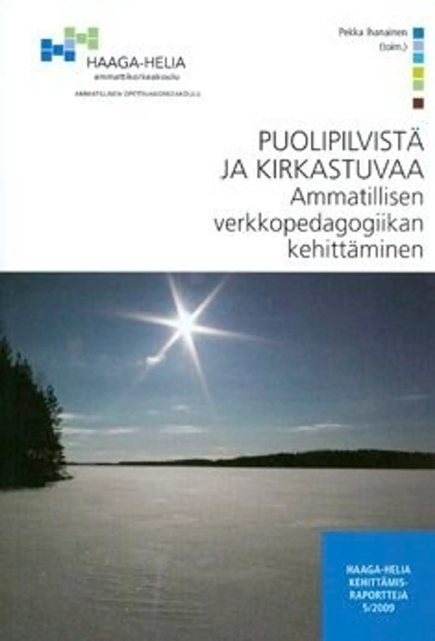 Puolipilvistä ja kirkastuvaa - ammatillisen verkkopedagogiikan kehittäminen