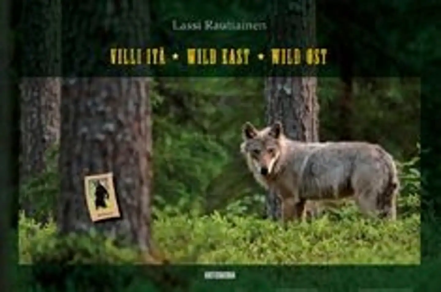 Rautiainen, Villi itä