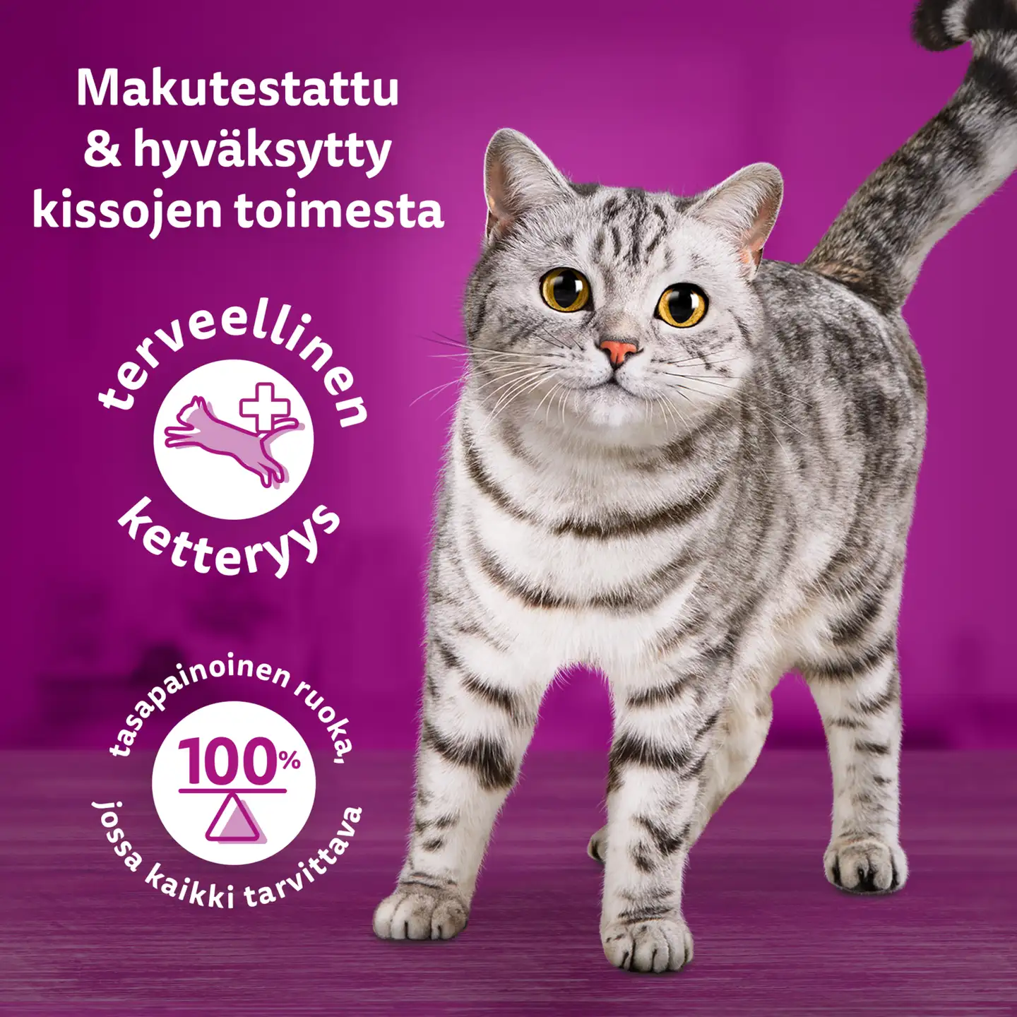 Whiskas Tasty Mix Kokin Valinta kastikkeessa (12 x 85 g) - 6