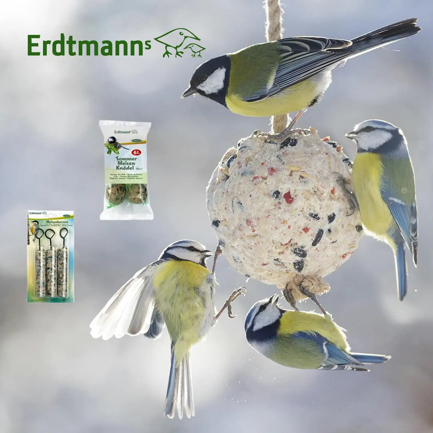 Erdtmanns Hedelmätalipallo 6kpl pussissa - 2