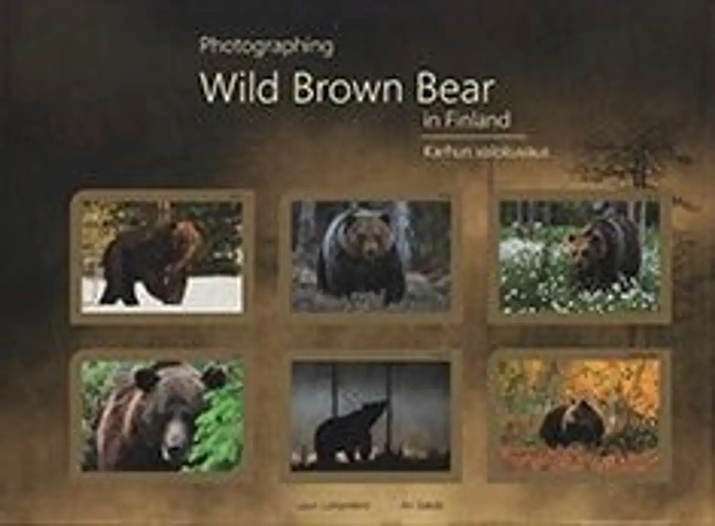 Luhtaniemi, Photographing Wild Brown Bear in Finland - Karhun valokuvaus