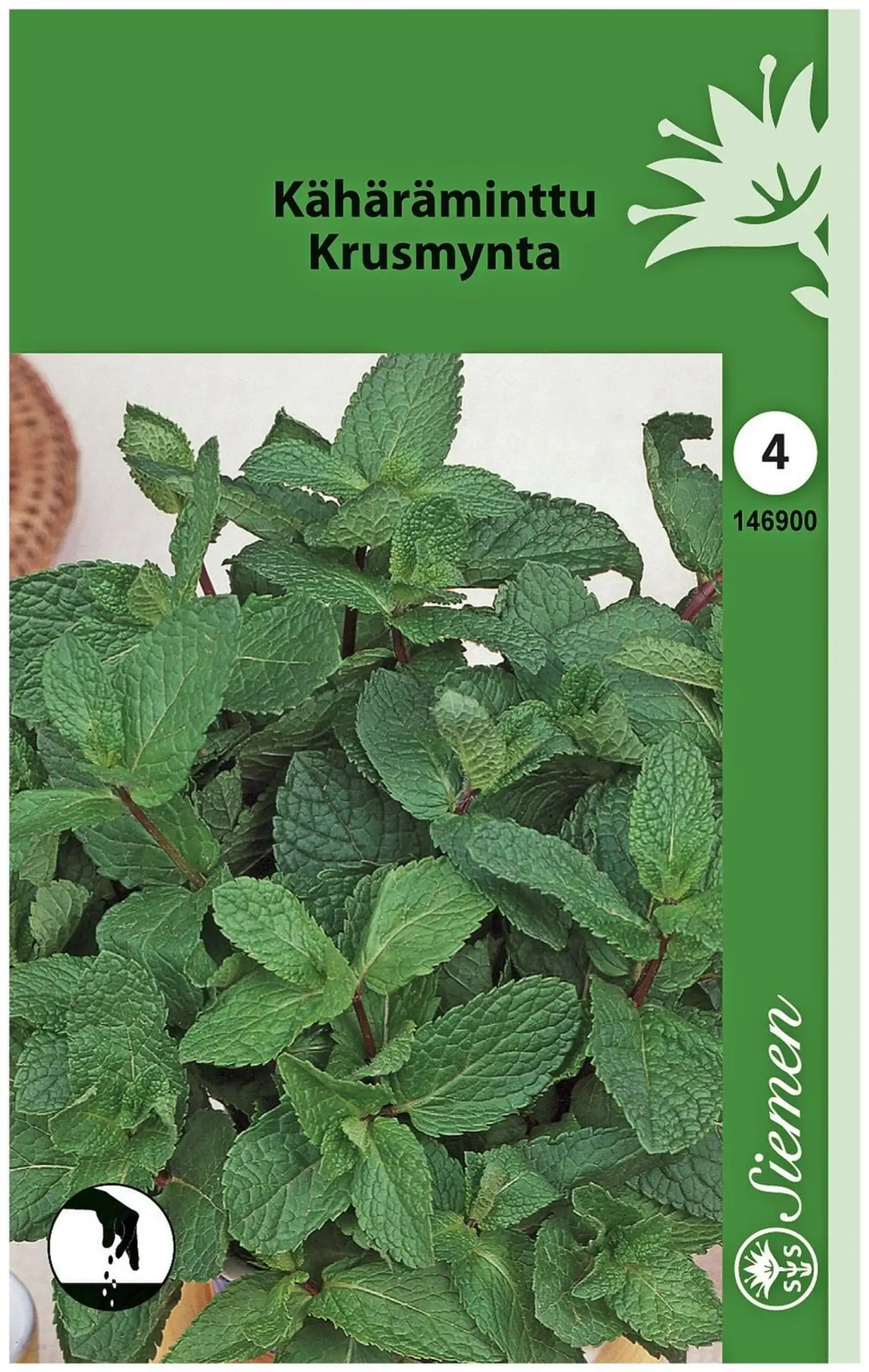 Kähäräminttu (Mentha)Moniv.