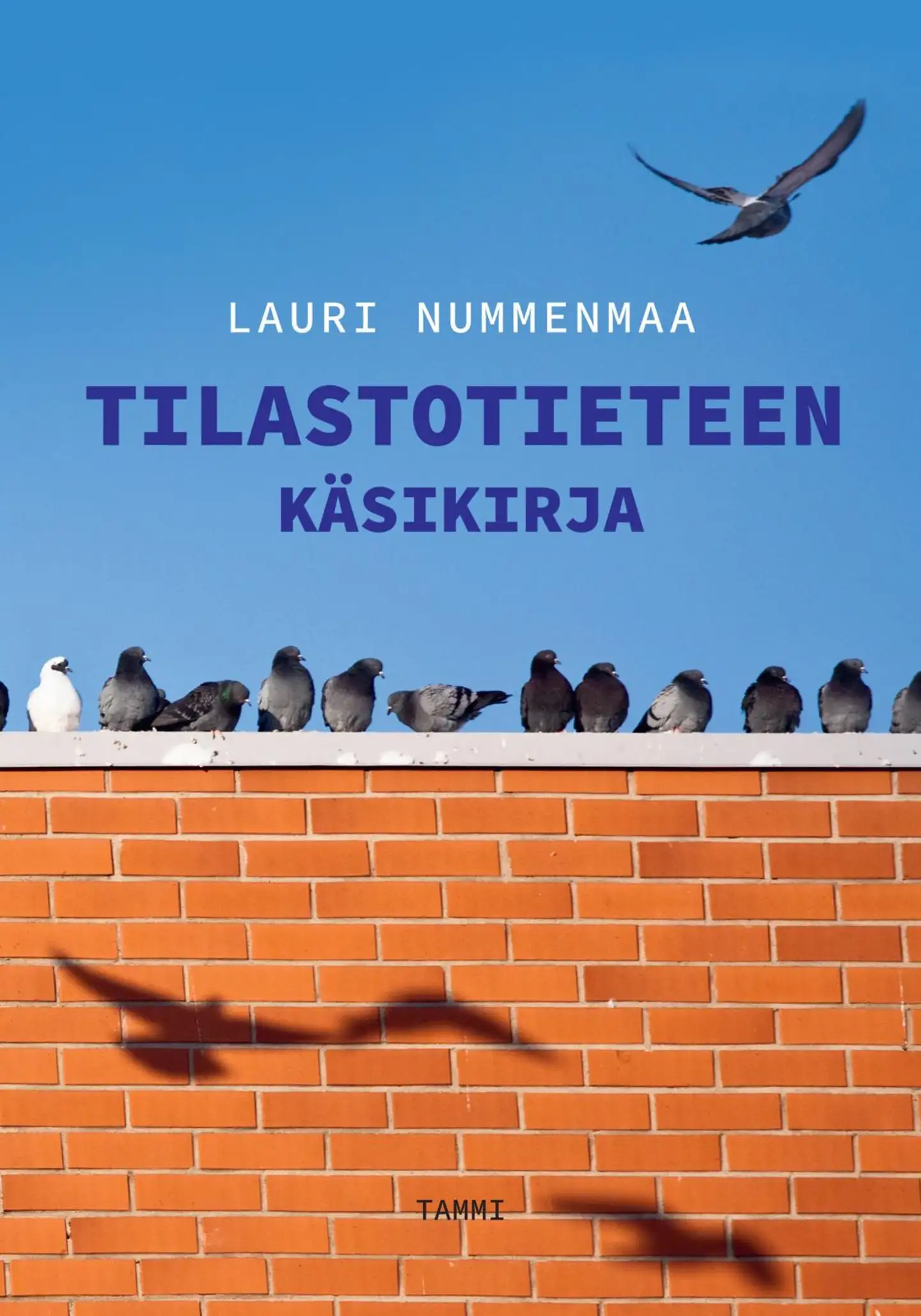 Nummenmaa, Tilastotieteen käsikirja