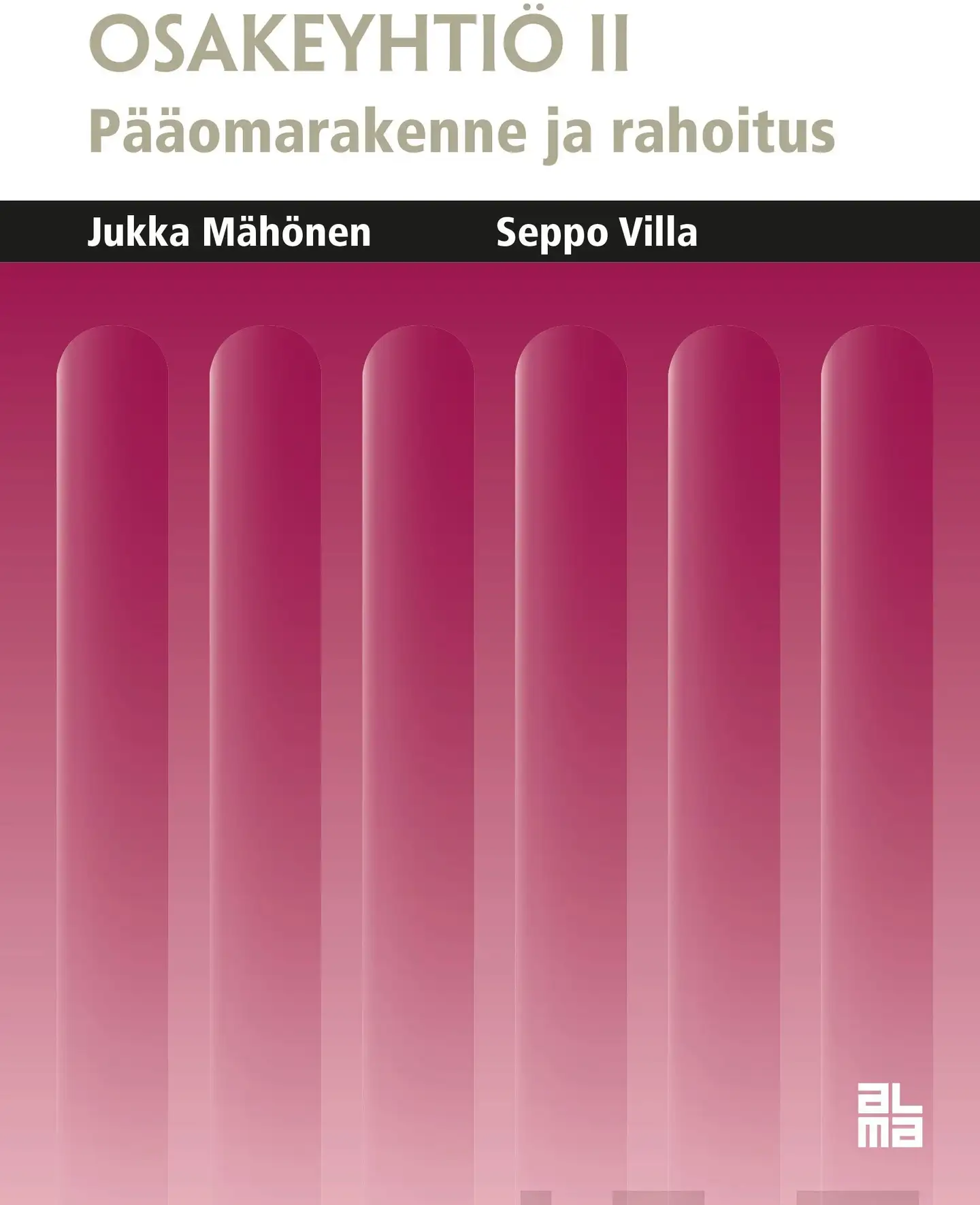 Mähönen, Osakeyhtiö II - Pääomarakenne ja rahoitus