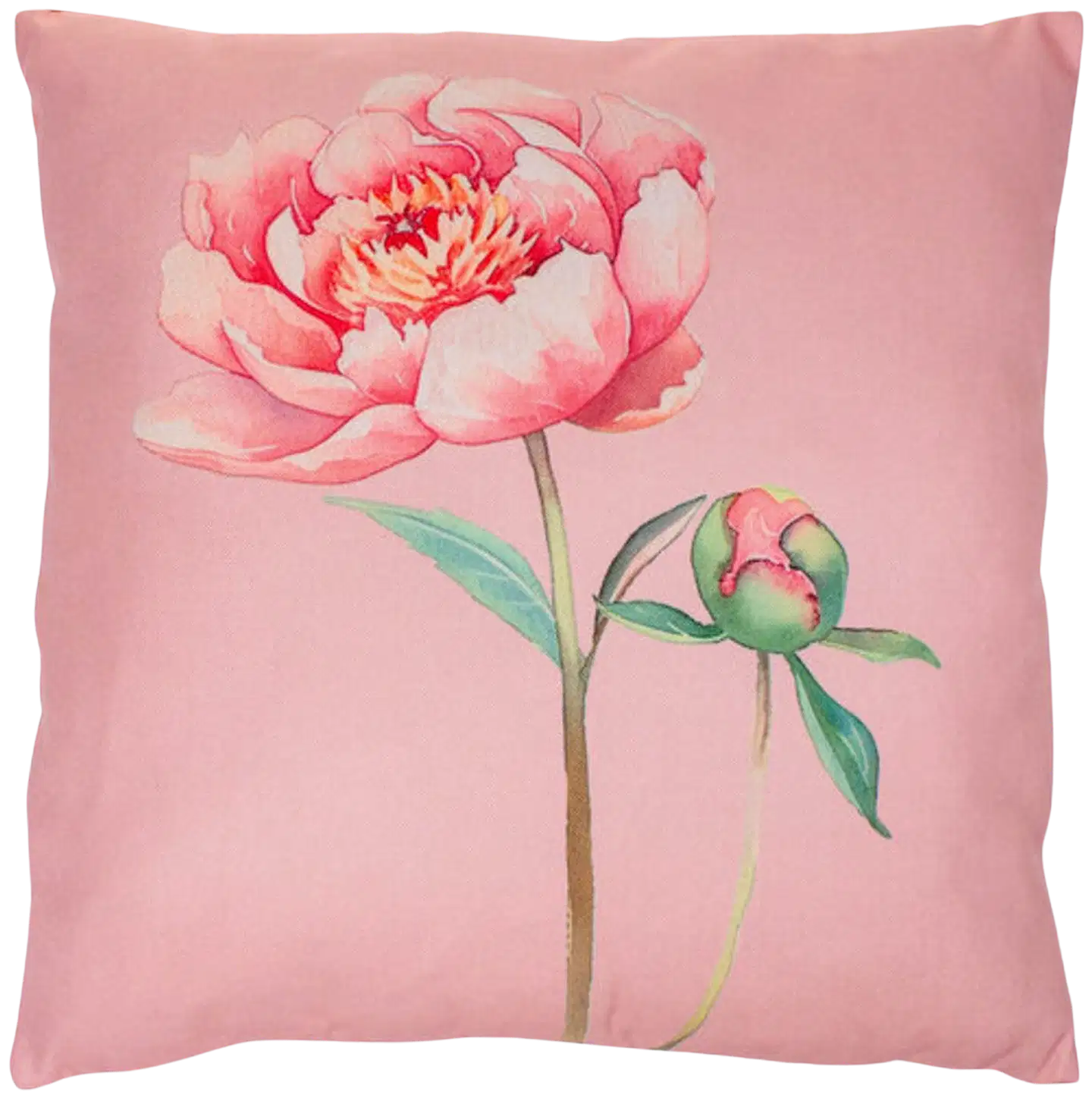 AmandaB Tyyny vaaleanpunainen pioni