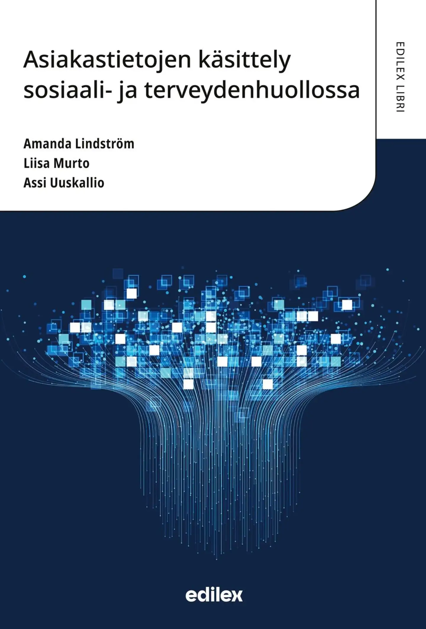 Lindström, Asiakastietojen käsittely sosiaali- ja terveydenhuollossa