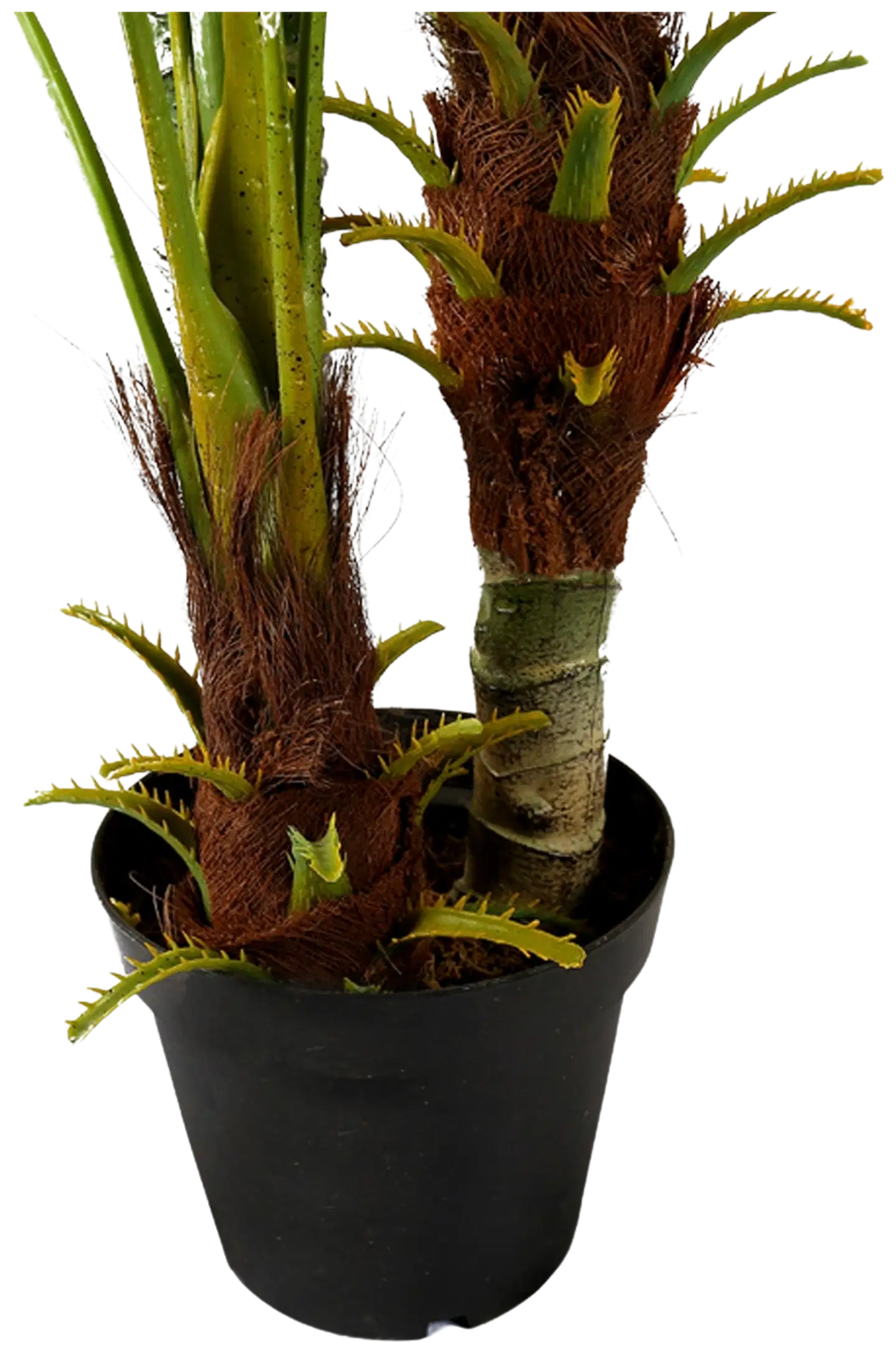 Lykke tekokasvi areca palm 180cm - 3