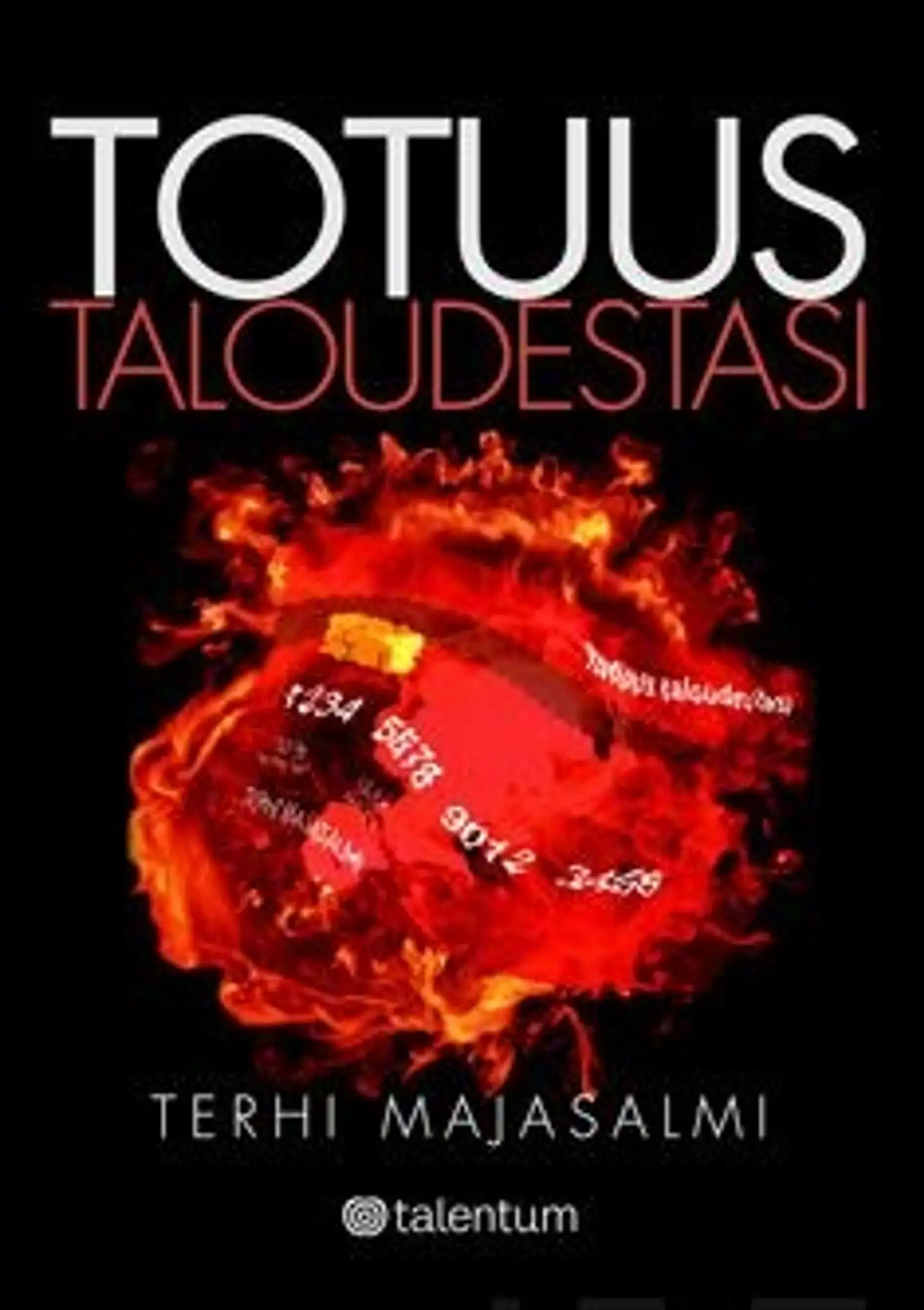 Majasalmi, Totuus taloudestasi