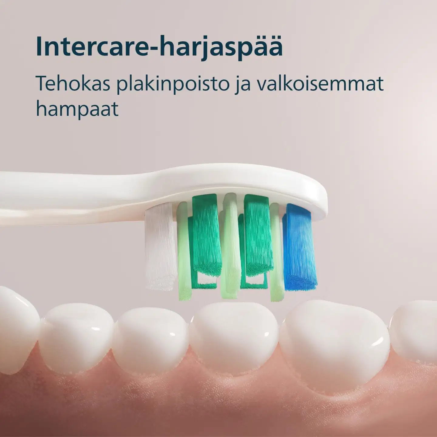Philips Sonicare Sähköhammasharja 2100 HX4021/03 Pinkki - 7