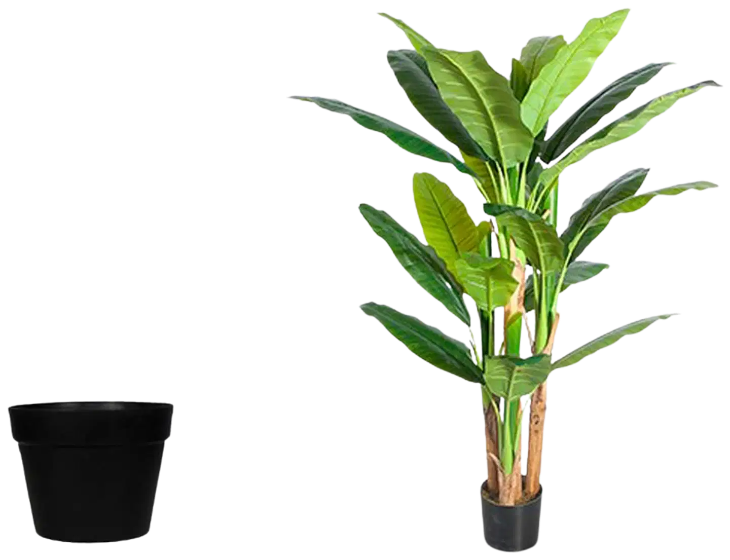 Lykke tekokasvi banana tree 170cm - 2
