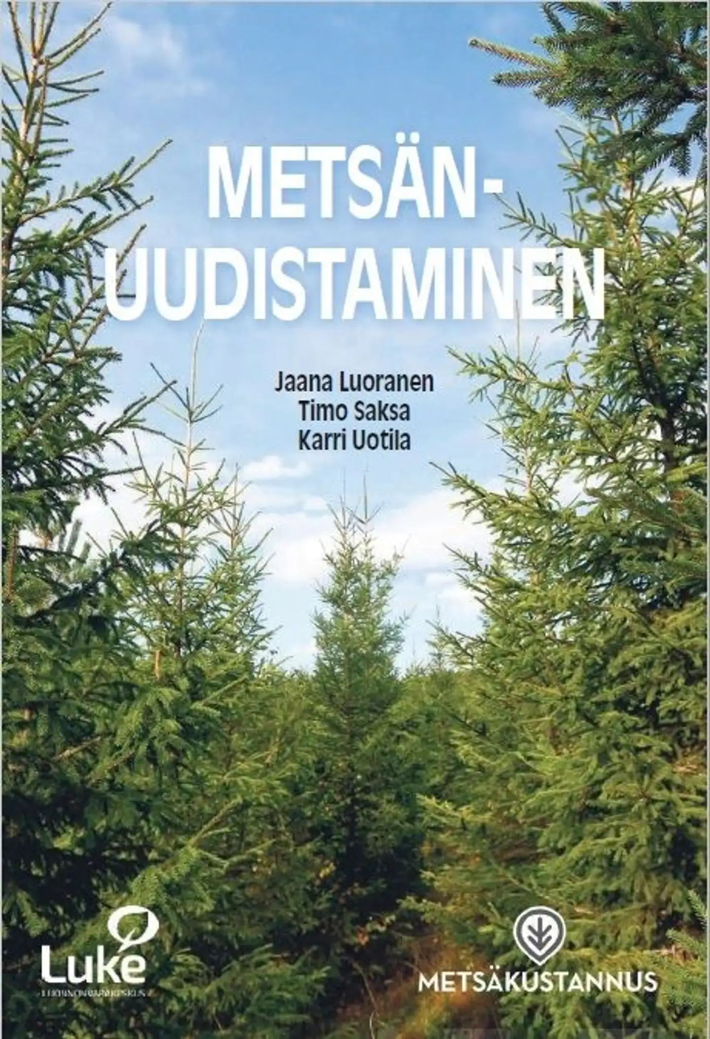 Luoranen, Metsänuudistaminen