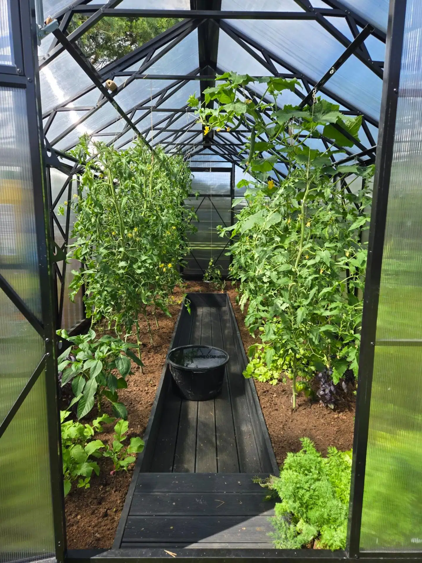 Ecoslider kasvihuone Lux 2.5 X 5.5 - 5