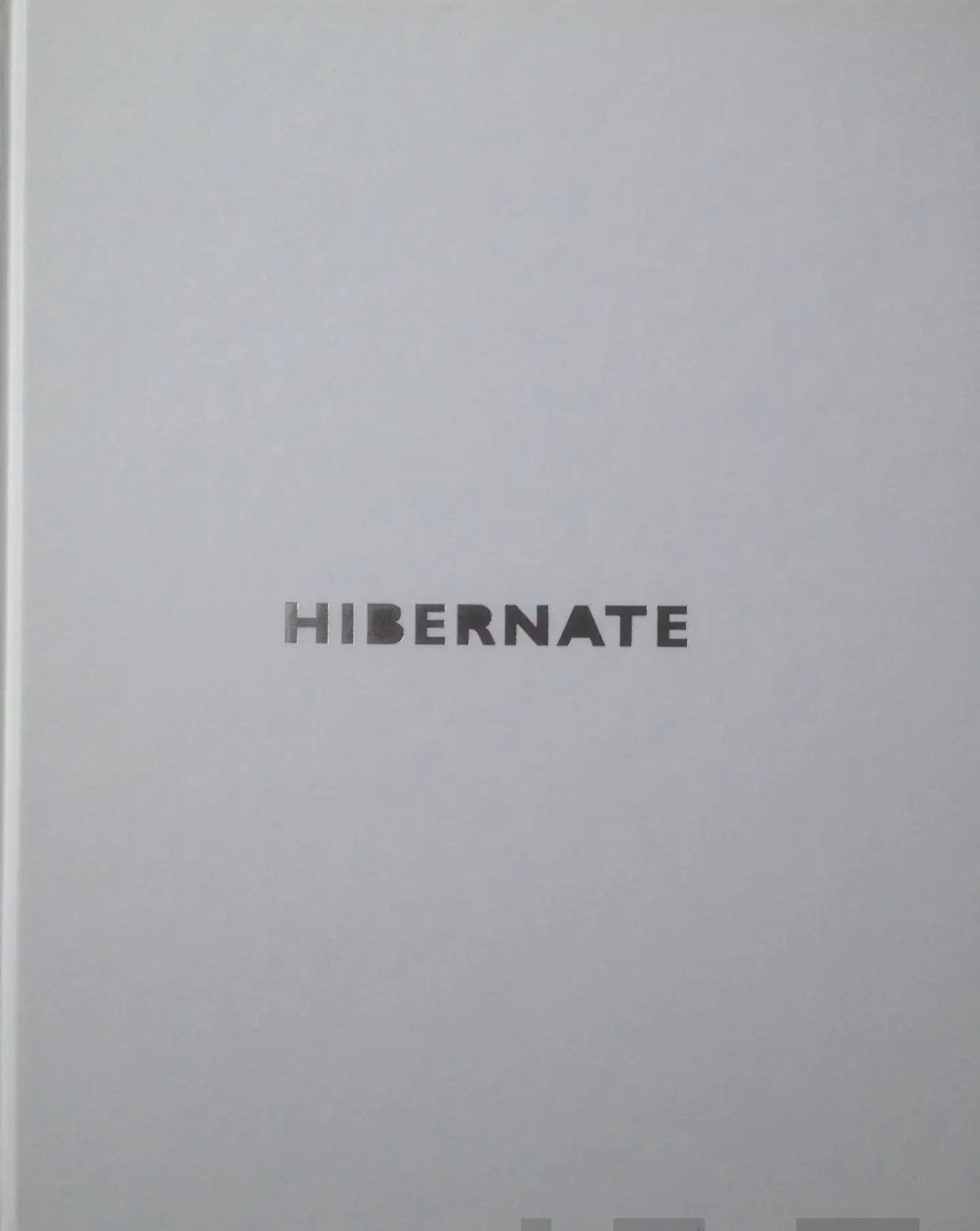Ruutiainen, Hibernate: suomalainen korutaiteilijaryhmä - Hibernate : Finnish jewellery artists