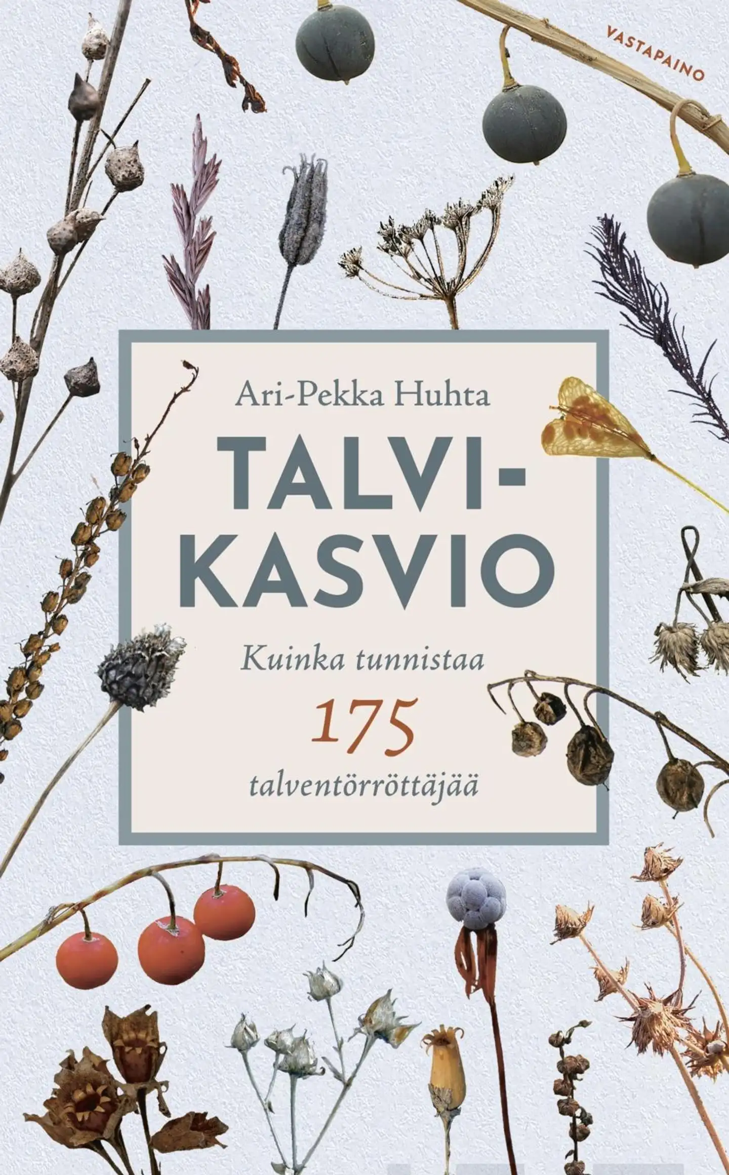 Huhta, Talvikasvio - Kuinka tunnistaa 175 talventörröttäjää