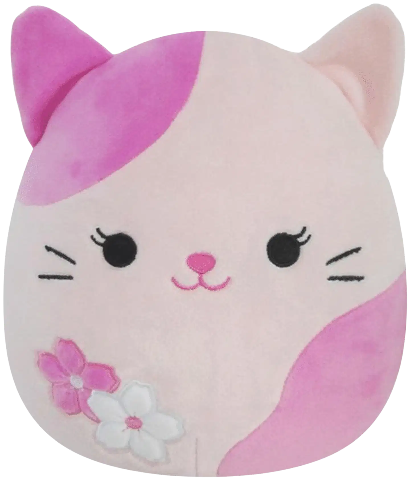 Squishmallows 19 cm pehmo A2 ja B2 - 6