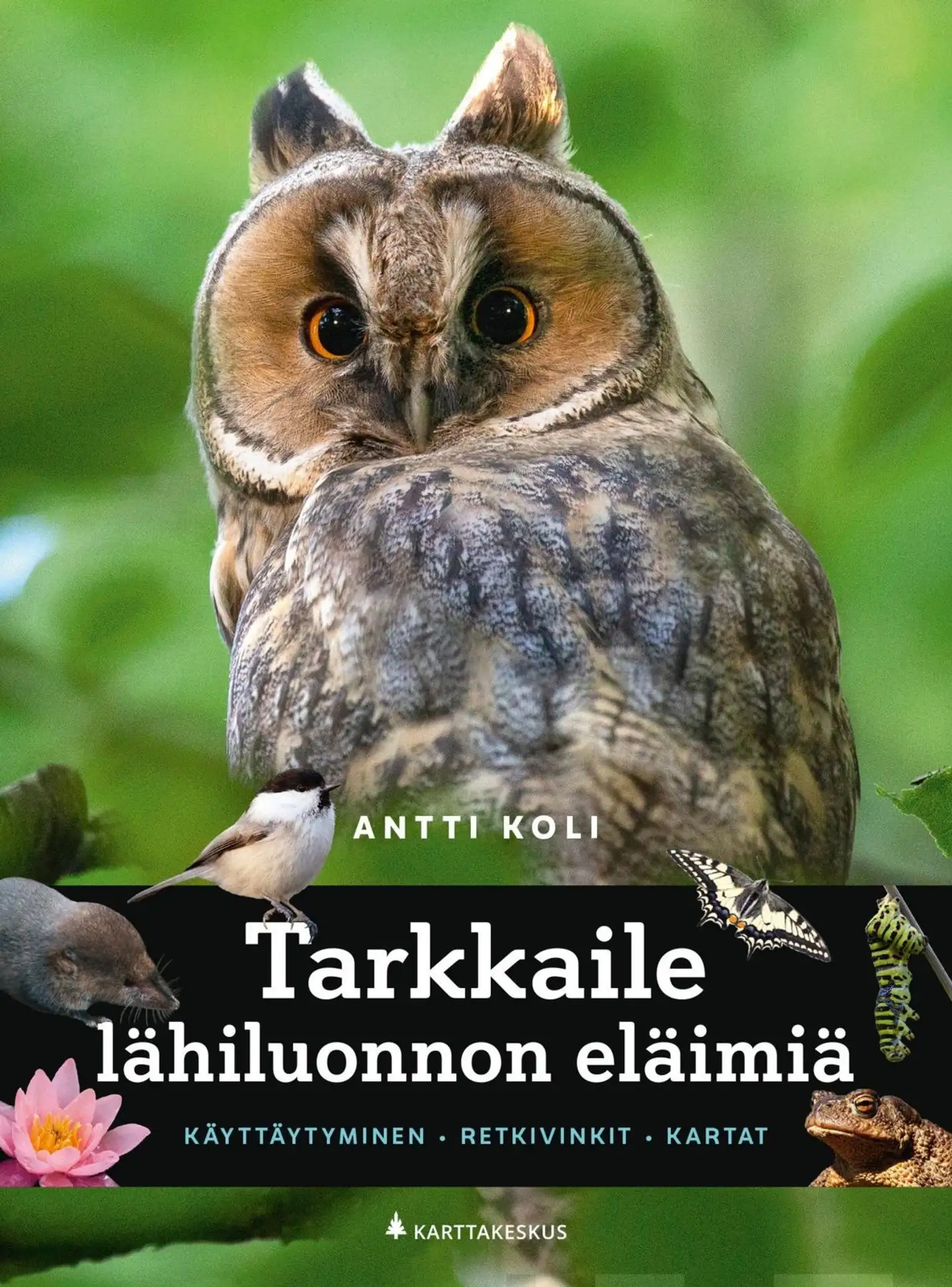 Koli, Tarkkaile lähiluonnon eläimiä - Käyttäytyminen, retkivinkit, kartat