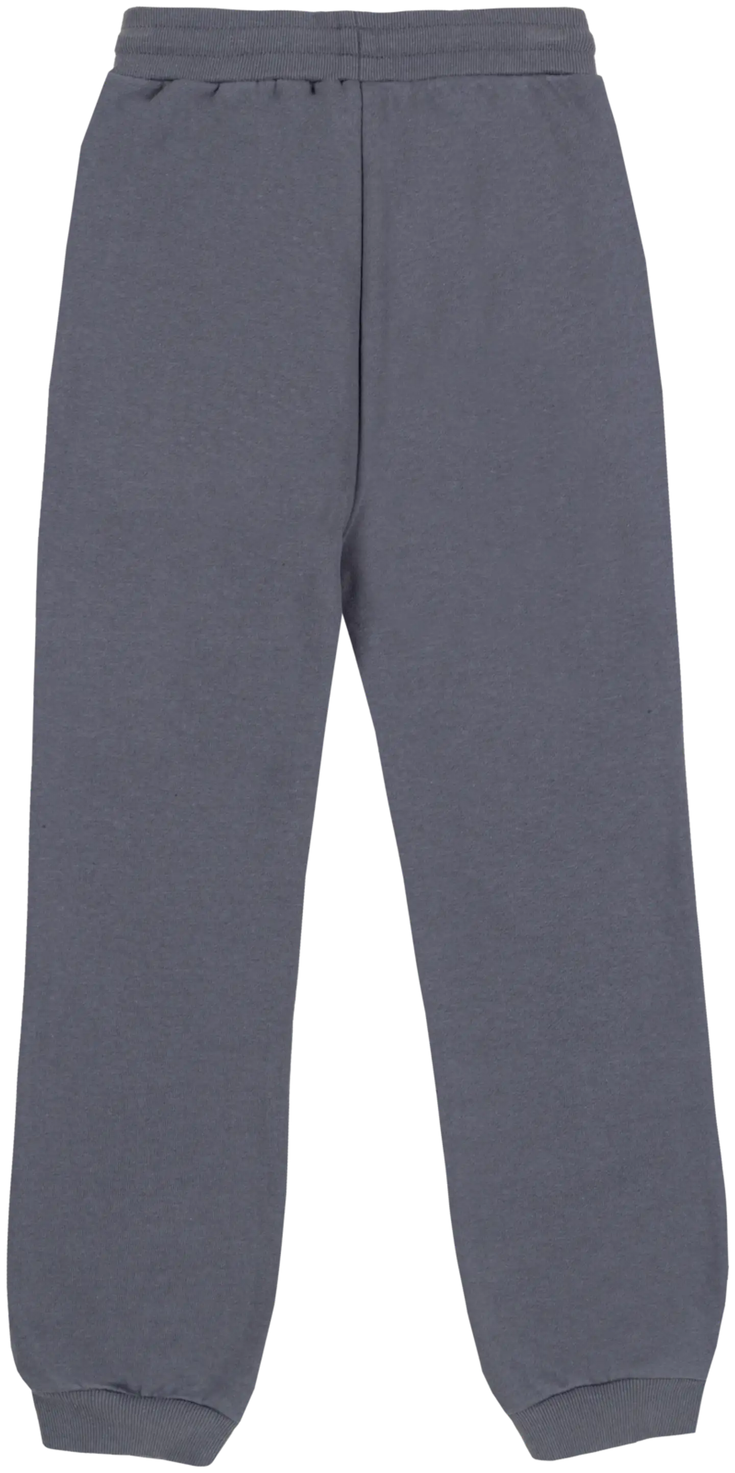 House nuorten collegehousut 23PH292508 - Steel Gray - 2