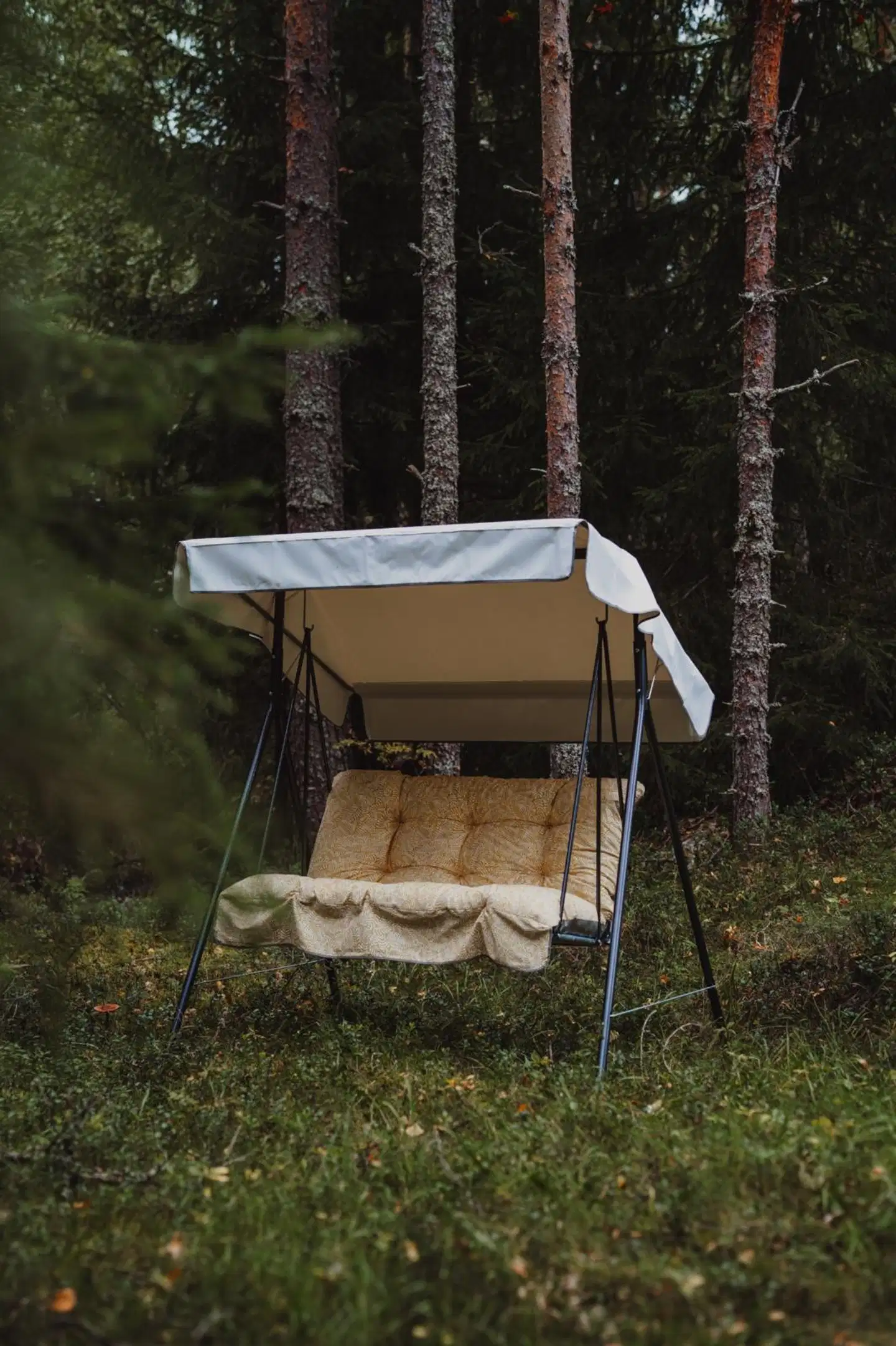 Varax Duetto keinu 98B keltainen - 3