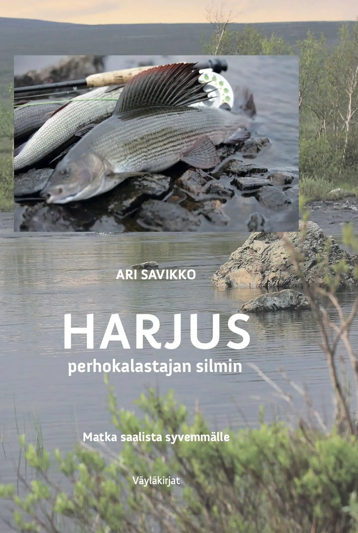 Savikko, Harjus perhokalastajan silmin - Matka saalista syvemmälle