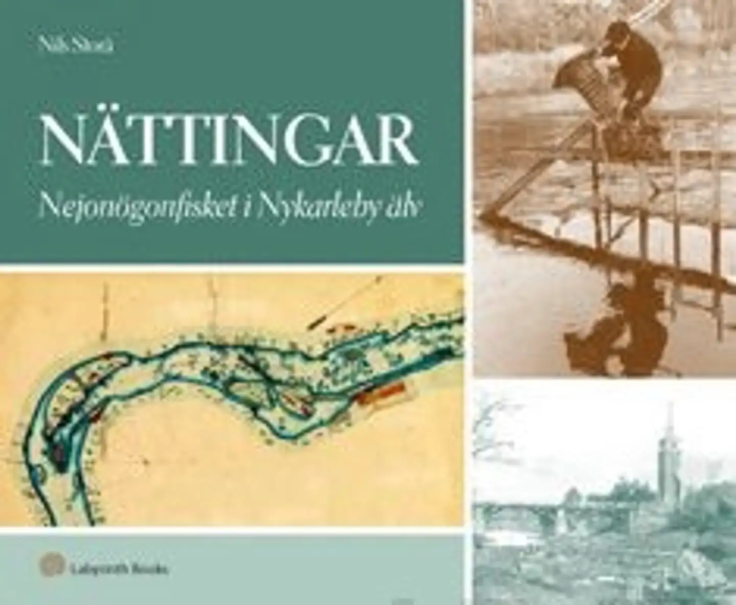 Storå, Nättingar - nejonögonfisket i Nykarleby älv