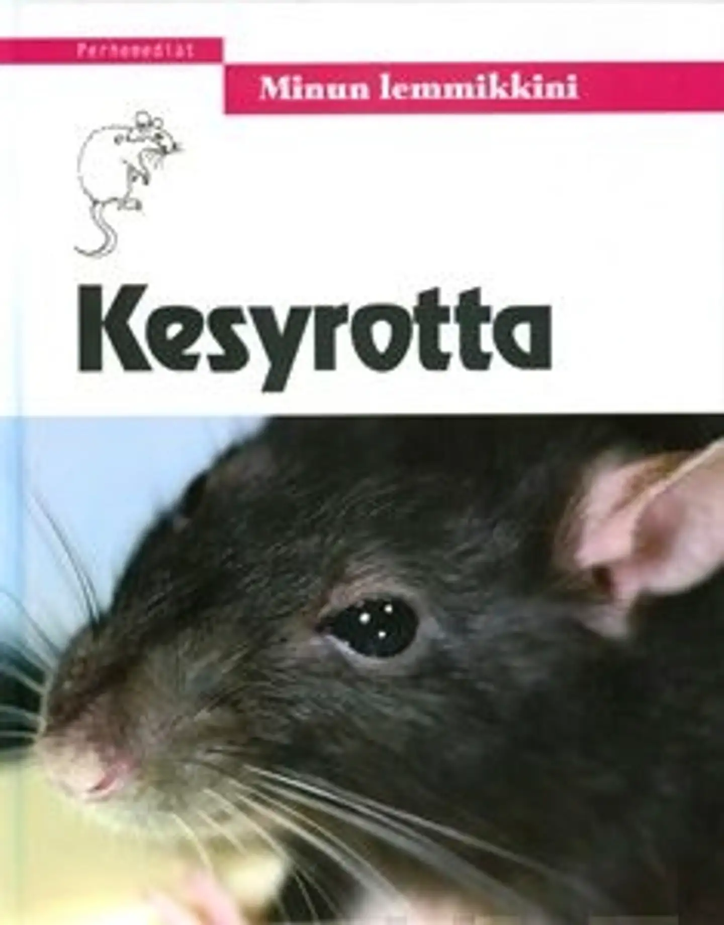 Kesyrotta