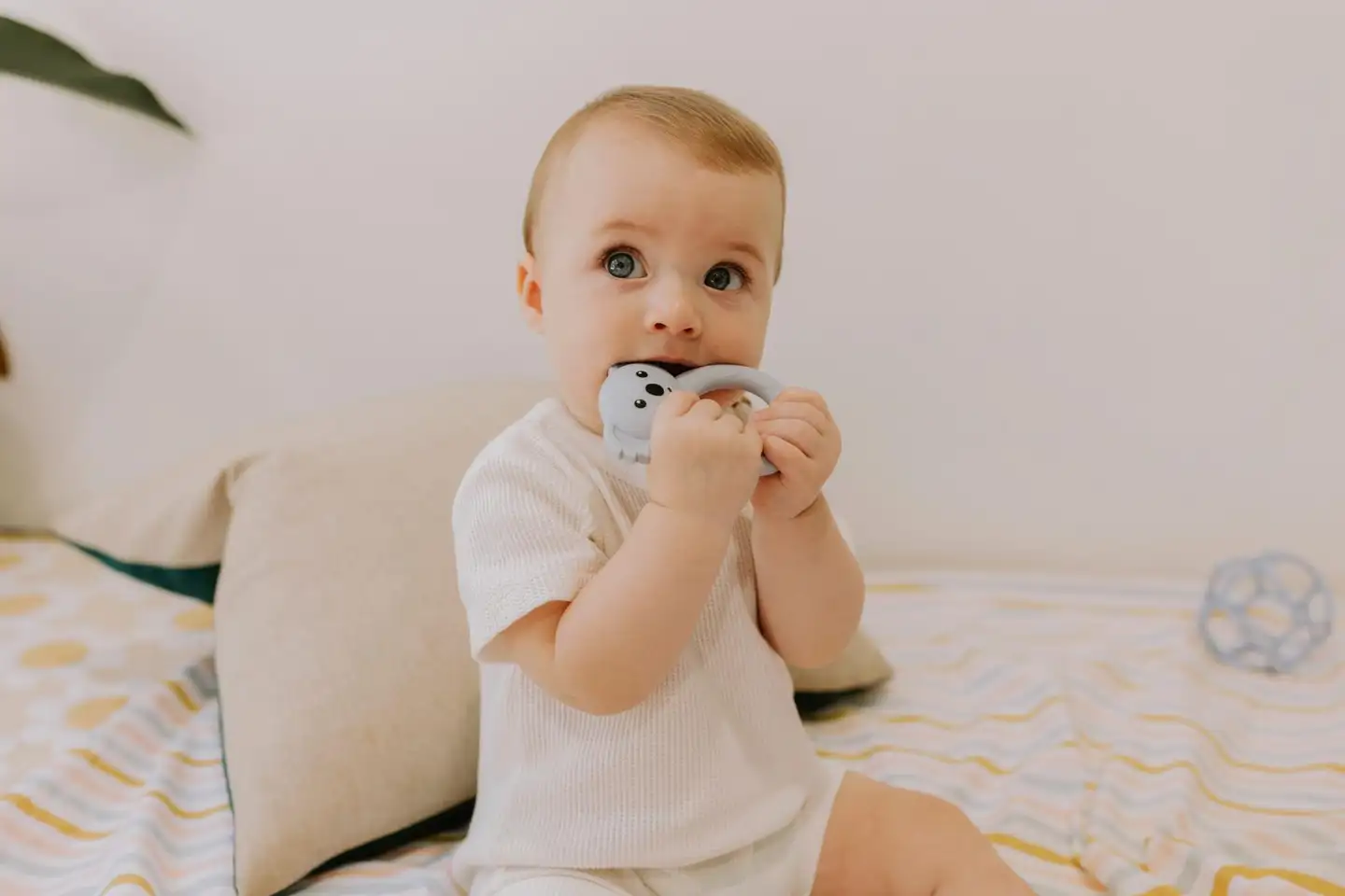 Jellystone purulelu Koala laventeli - 3