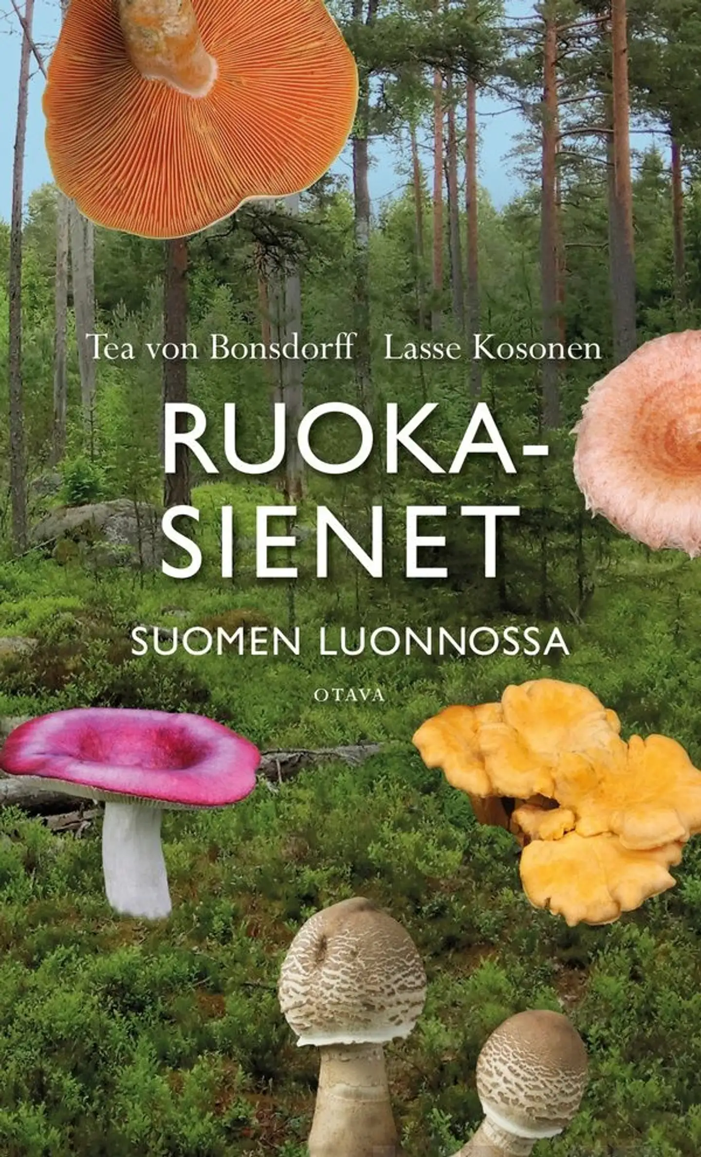 Bonsdorff, Ruokasienet Suomen luonnossa