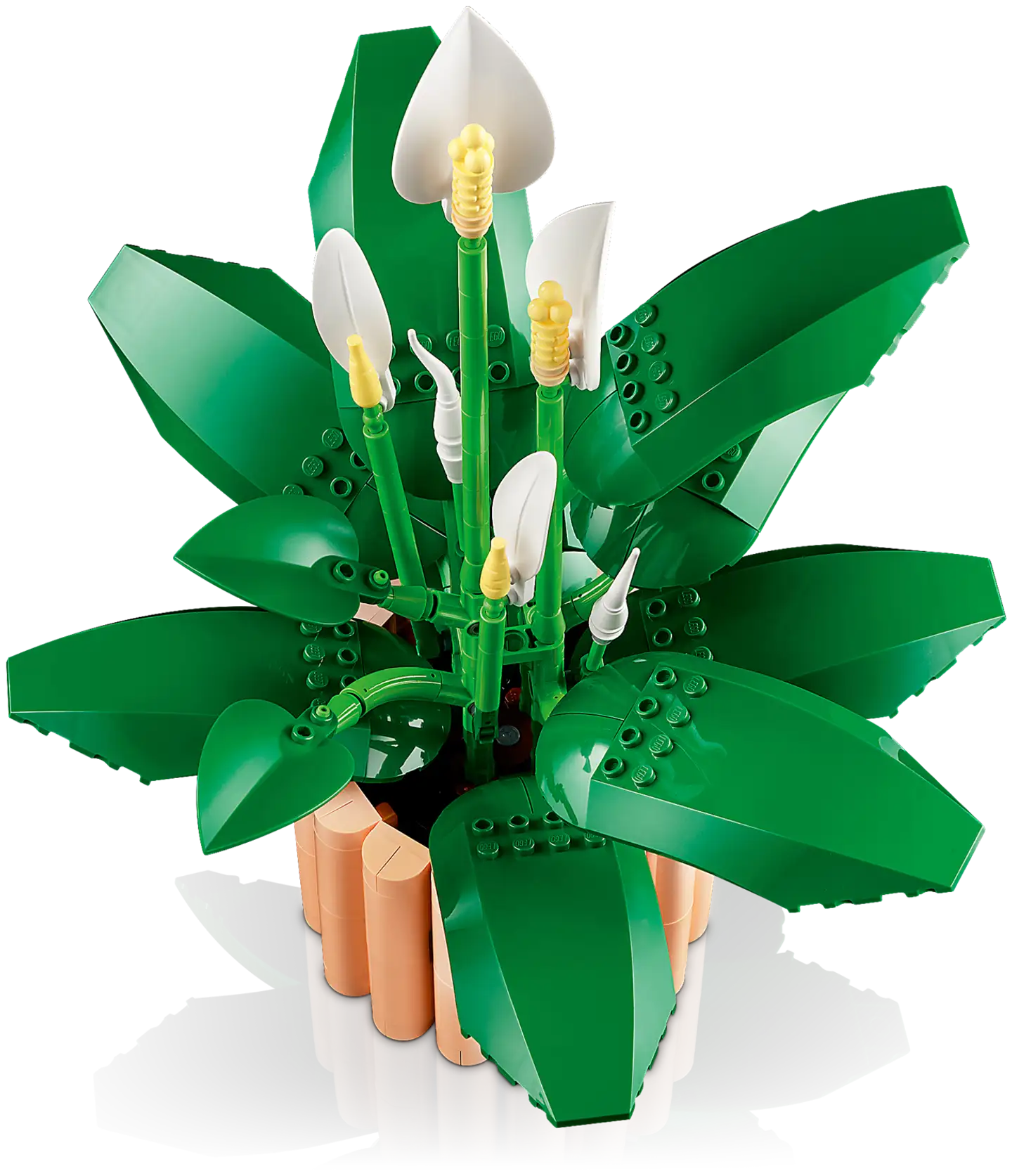 LEGO® Botanicals 11504 Viirivehka - 3