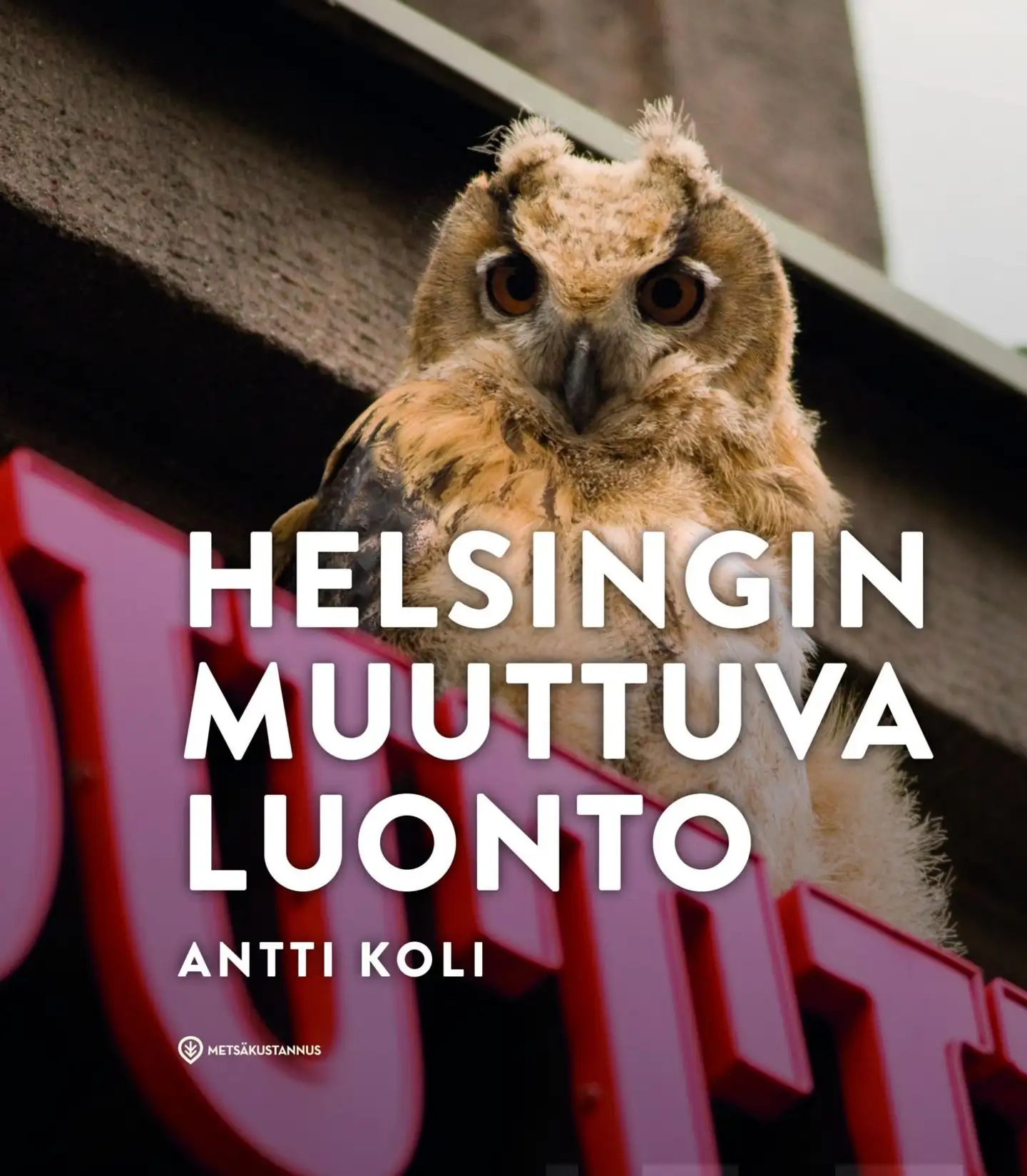 Koli, Helsingin muuttuva luonto